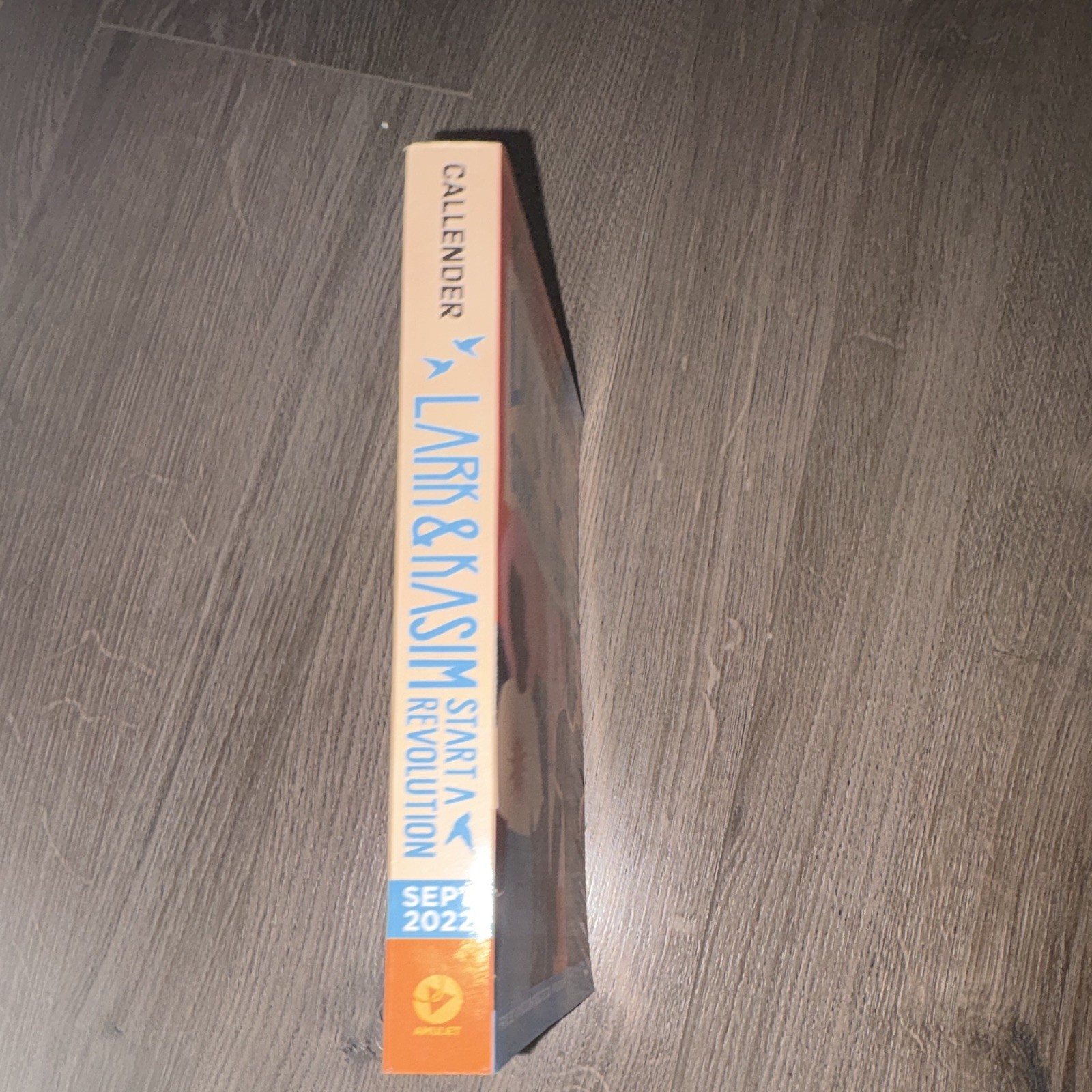Lark & Kasim Start a Revolution by Kacen Callender PB Uncorrected Proof 2022