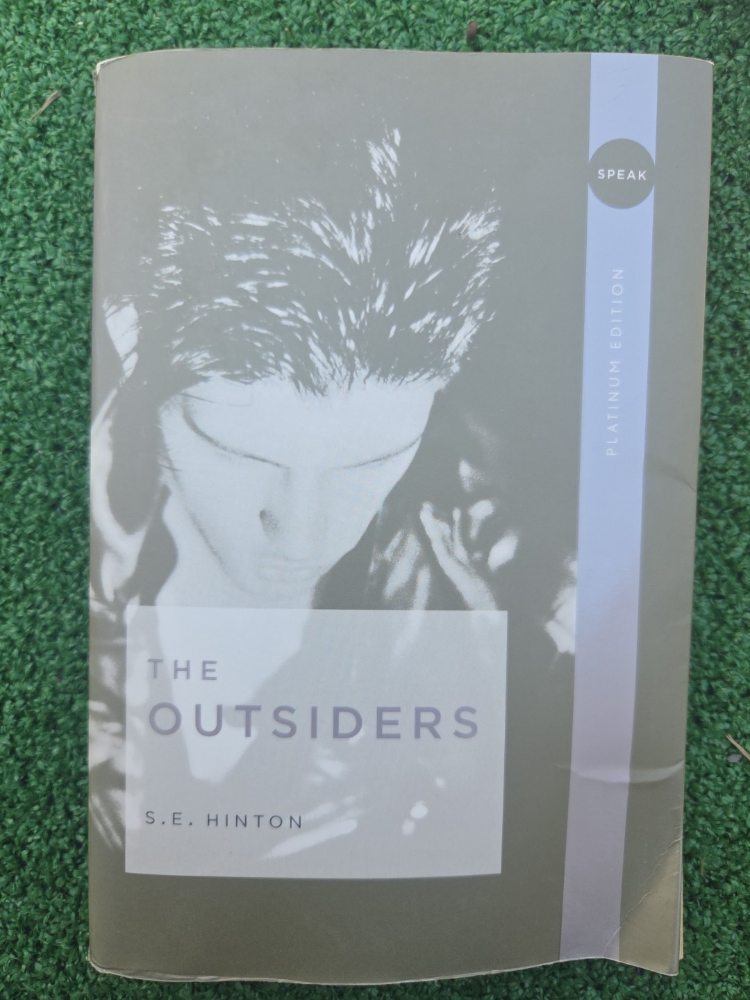 Classic Literature & Wellness Lot: Viktor Frankl, J.D. Salinger, The Outsiders