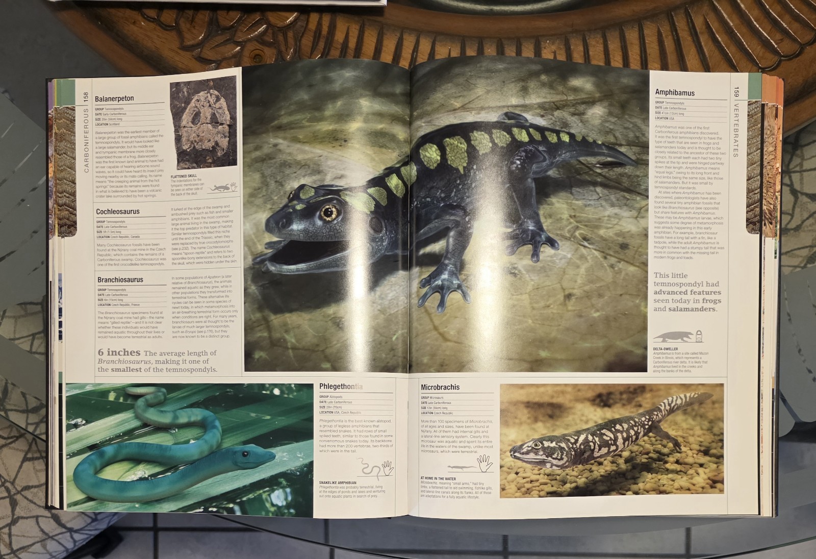 dk definitive visual guide encyclopedia / prehistoric, history, universe 4 books