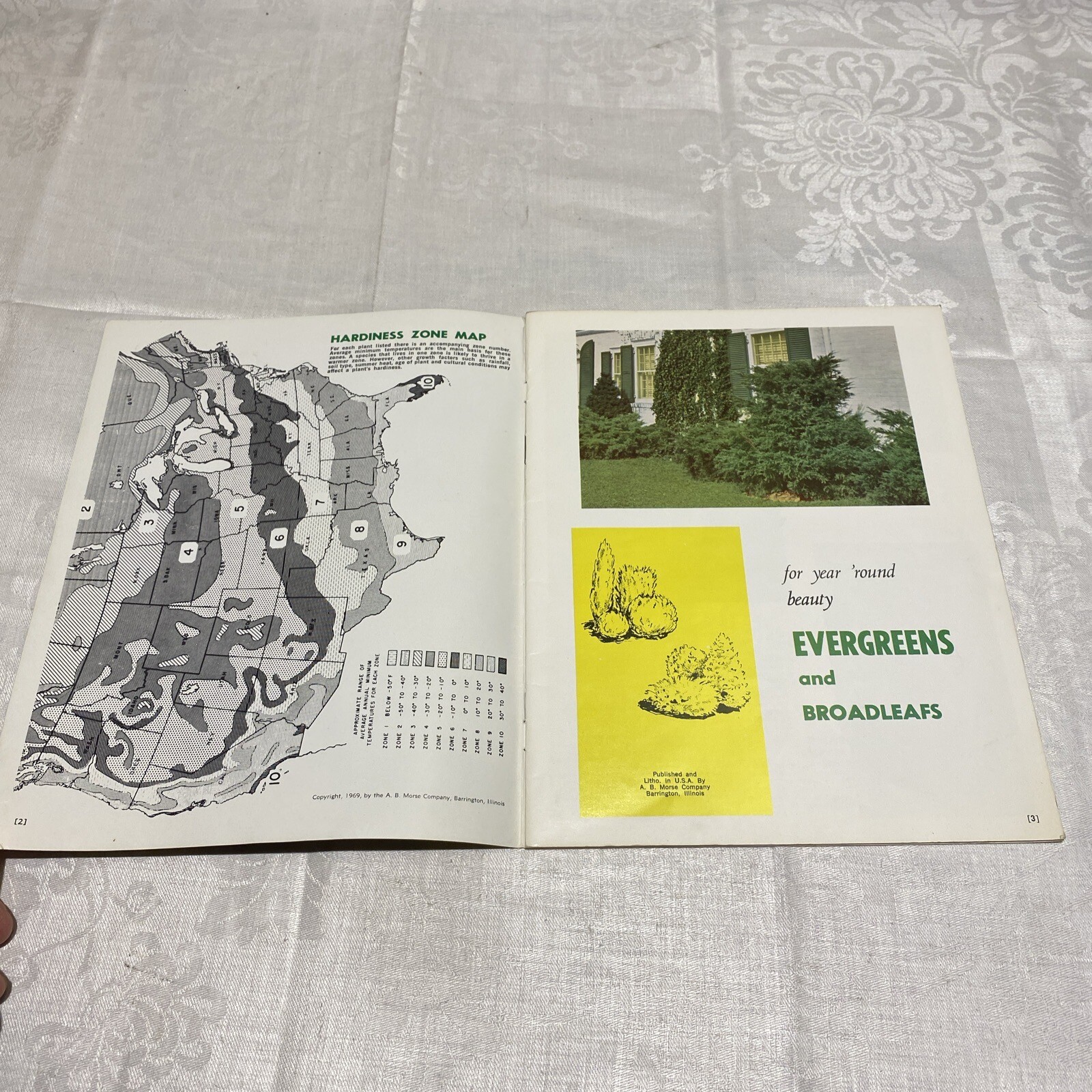 Evergreens By Countryside Books 1976 Paperback