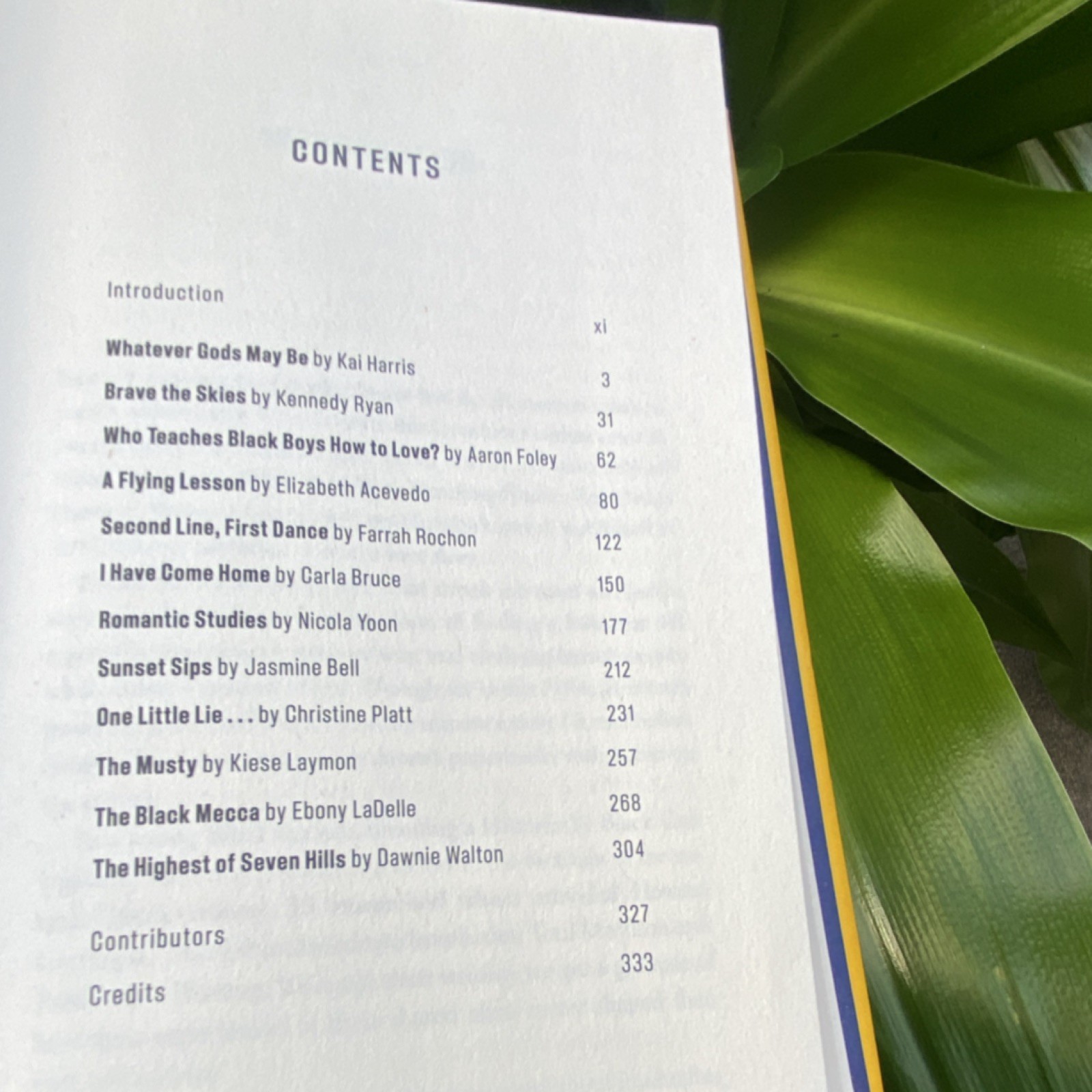 Delacorte Press You’ve Got a Place Here, Too Hardcover 1st Ed Anthology LaDelle