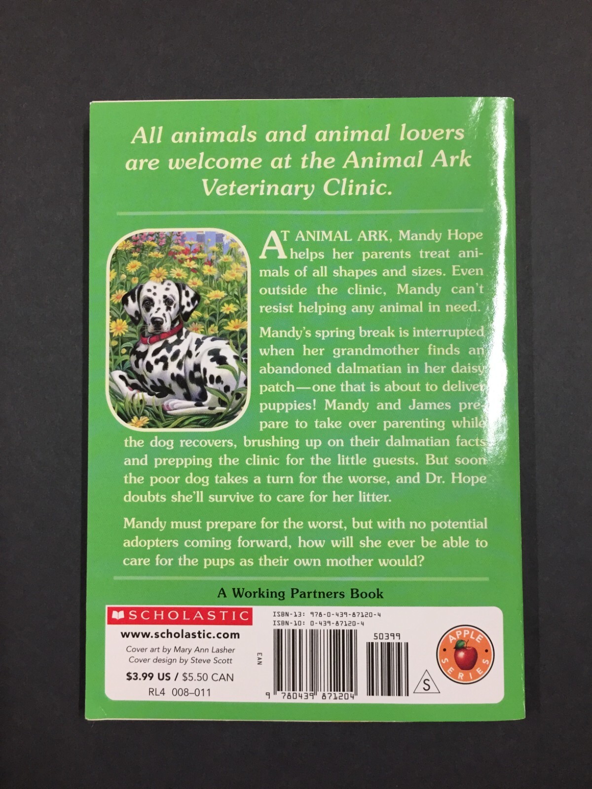 Dalmatian in the Daisies by Ben M. Baglio Scholastic Paperback