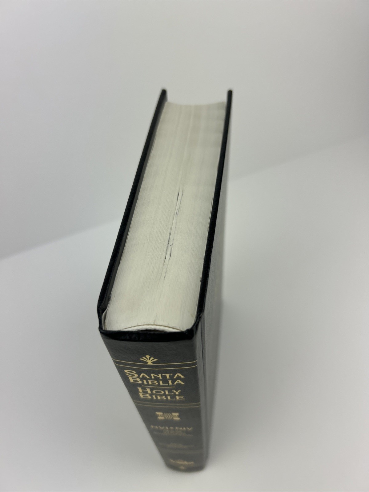Santa Biblia Holy Bible NVI NIV New International Version Bilingual Spanish