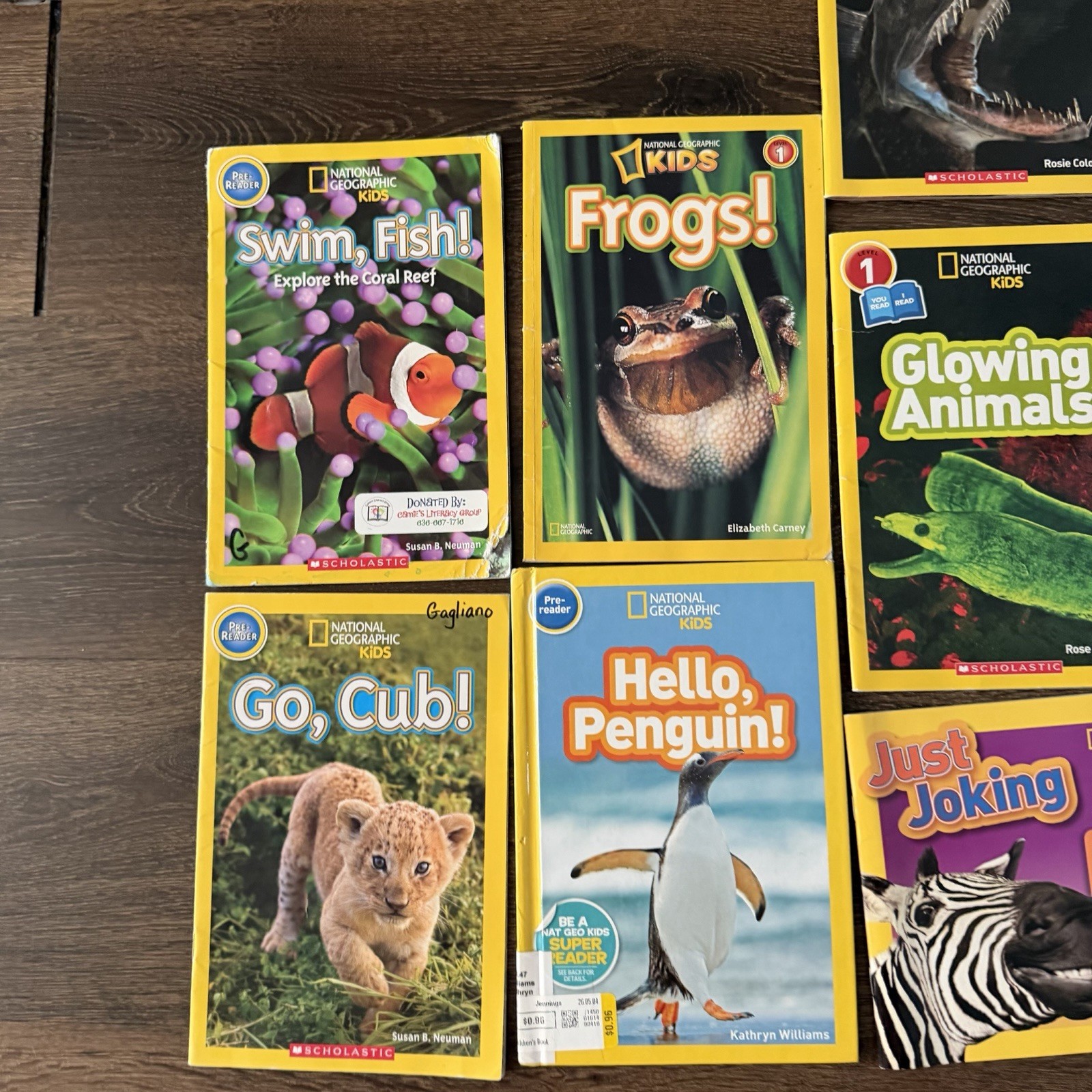 National Geographic Kids Reader Lot 17 Sharks Wolves Dolphins Polar Bears
