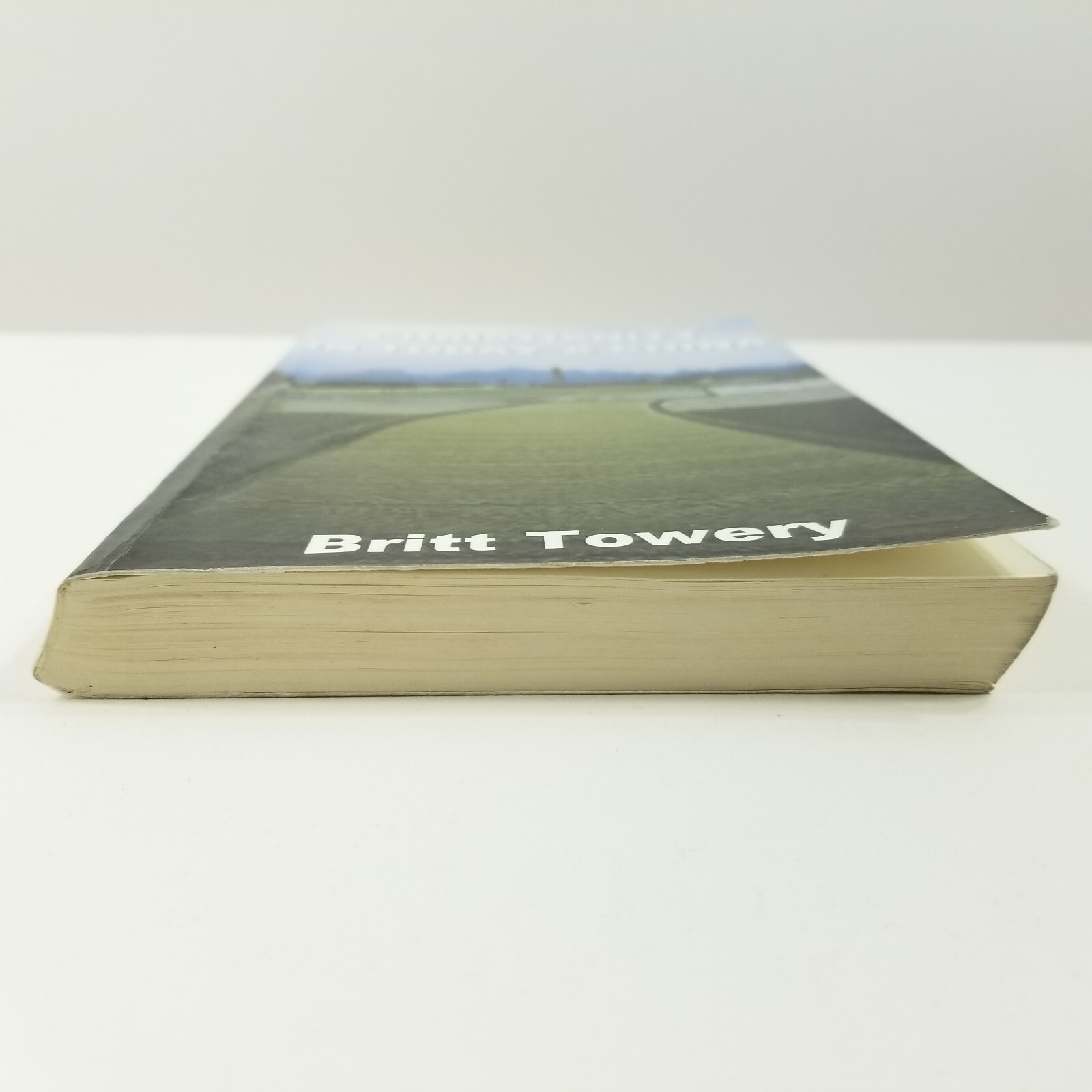 Christianity in Today’s China (Signed & Inscribed) by Britt Towery Taking Root