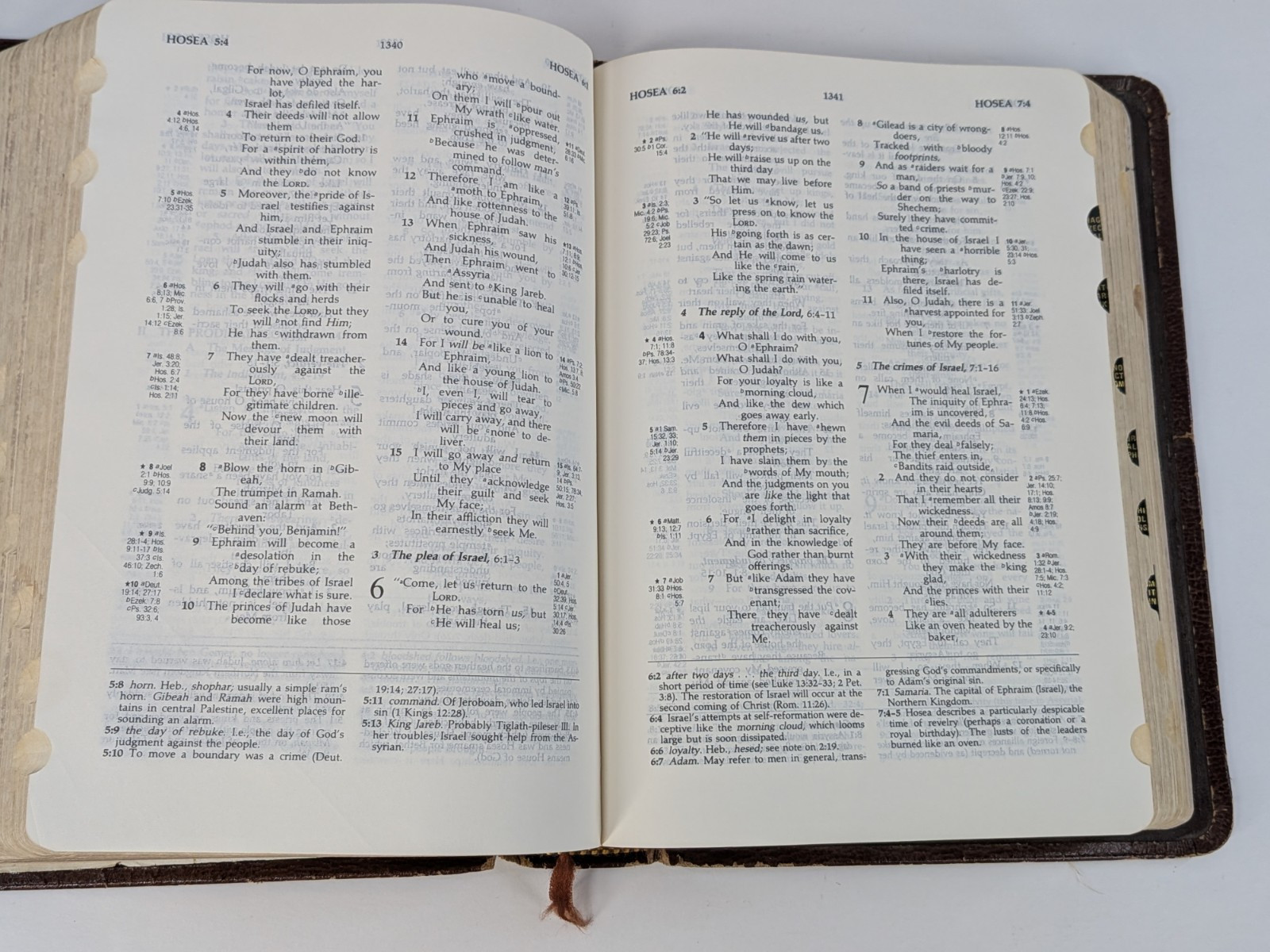 BISON GRAIN!✝️Vntg Ryrie Study Bible NASB 1978 Red Letter Moody Press Tab Index
