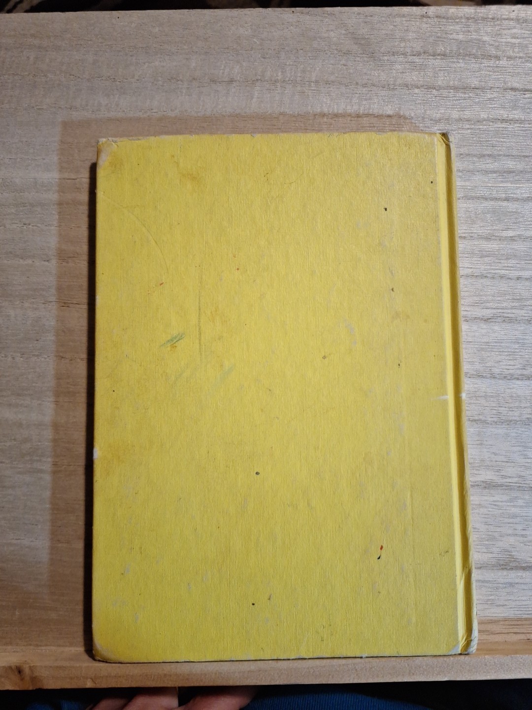 The Happy Birthday Present Hardcover Joan Heilbroner Vintage Childrens Book