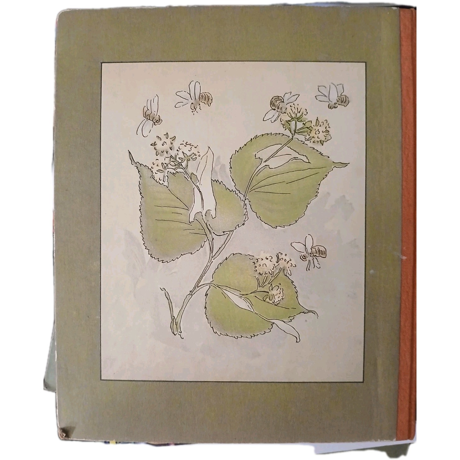 Antique Book Prinsarnes Blomsteralfabet HC 1892 Sweden Illustrated Alphabet