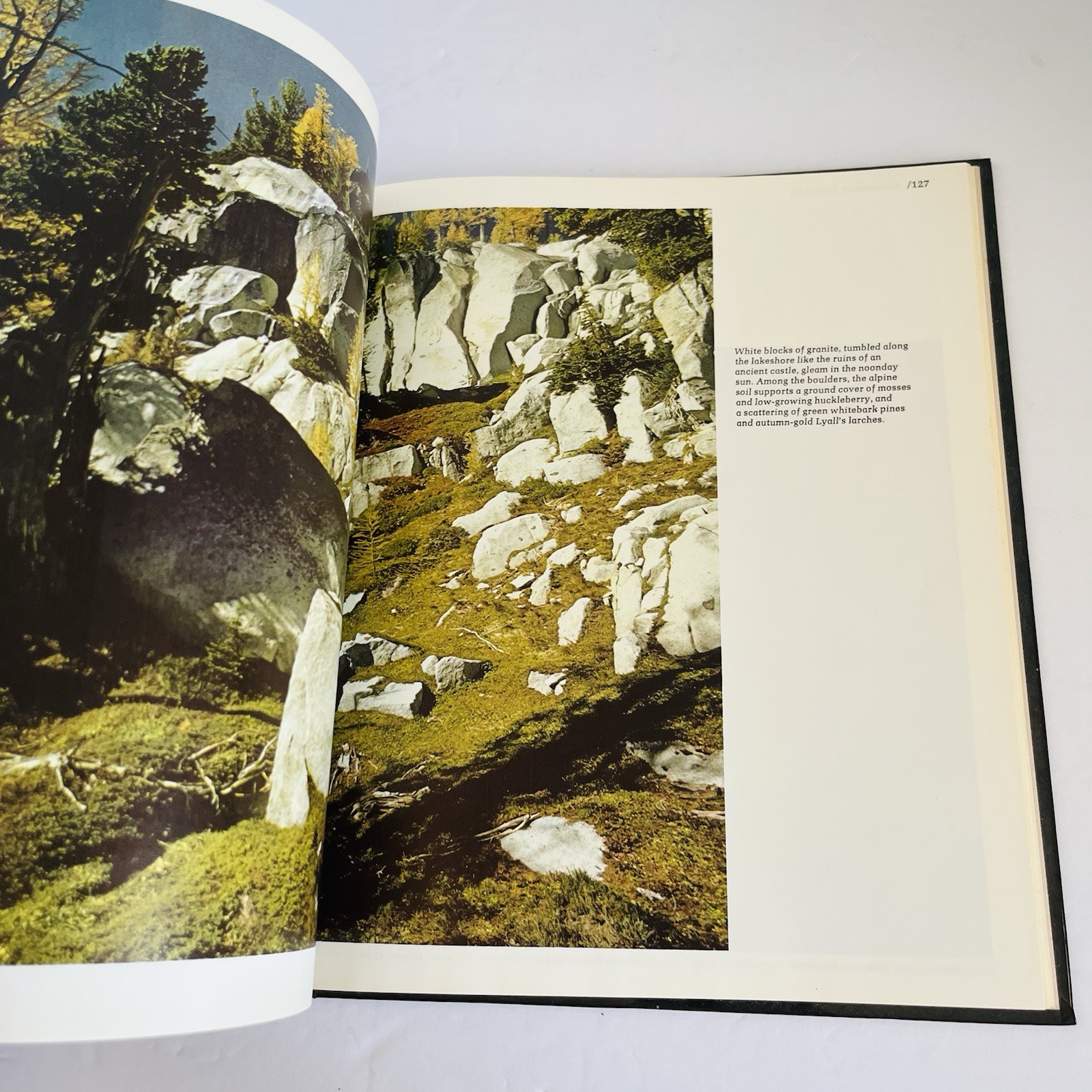 Vintage “The American Wilderness” Time Life Books Collection 1973 Lot of 7
