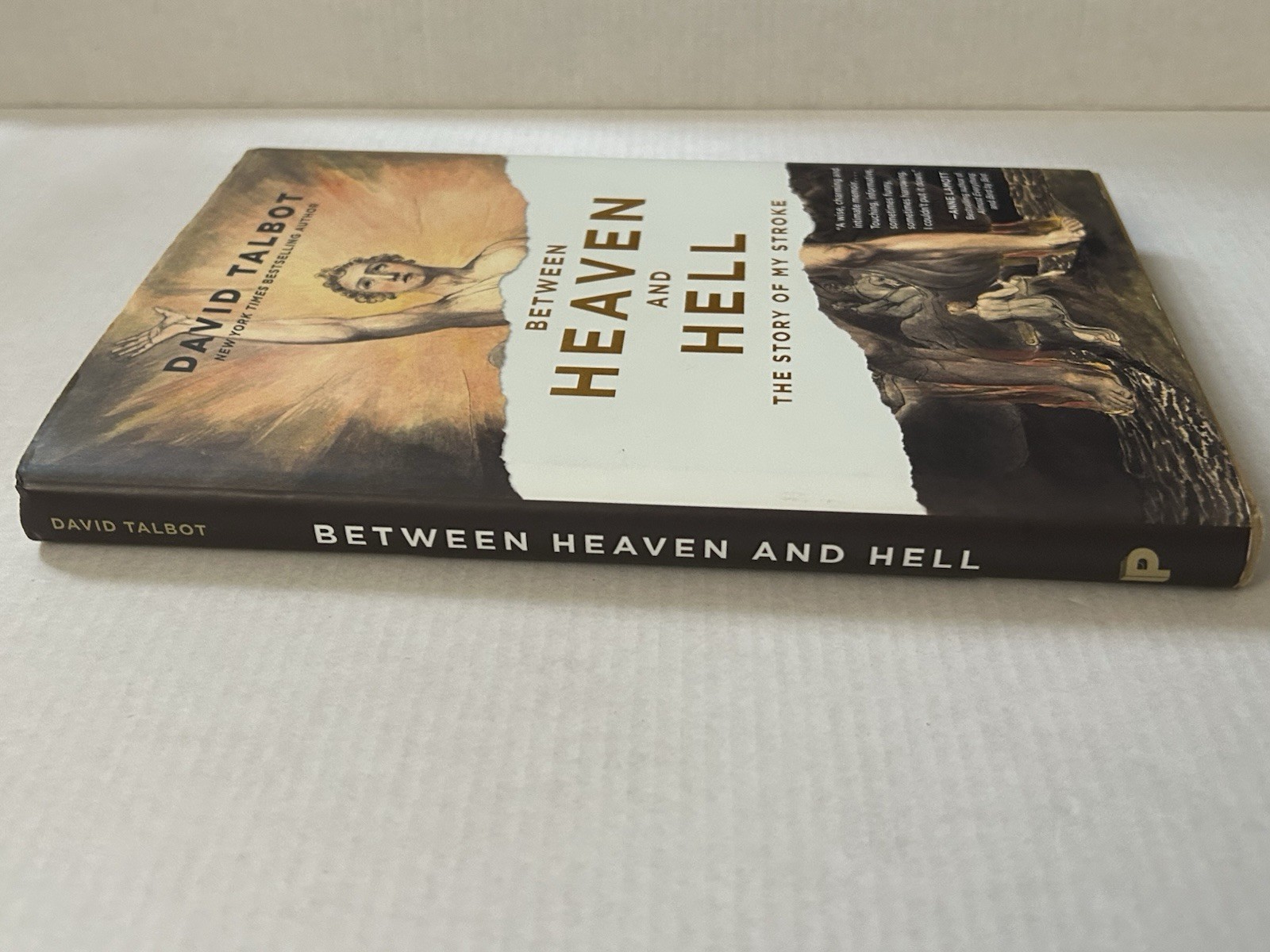 Between Heaven And Hell The Story Of My Stroke David Talbot Hardcover