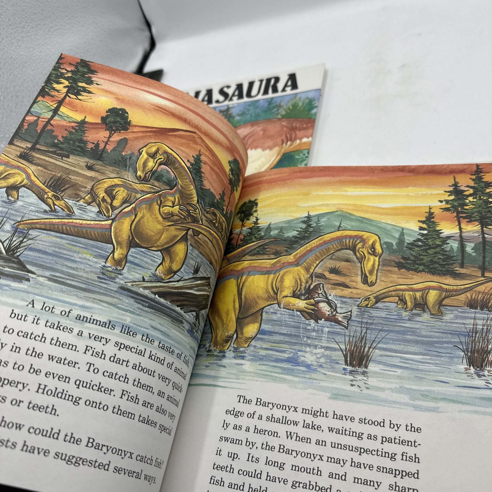 Dinosaur Hardcover Books 1991 Janet Riehecky The Child’s World Series 18 Books