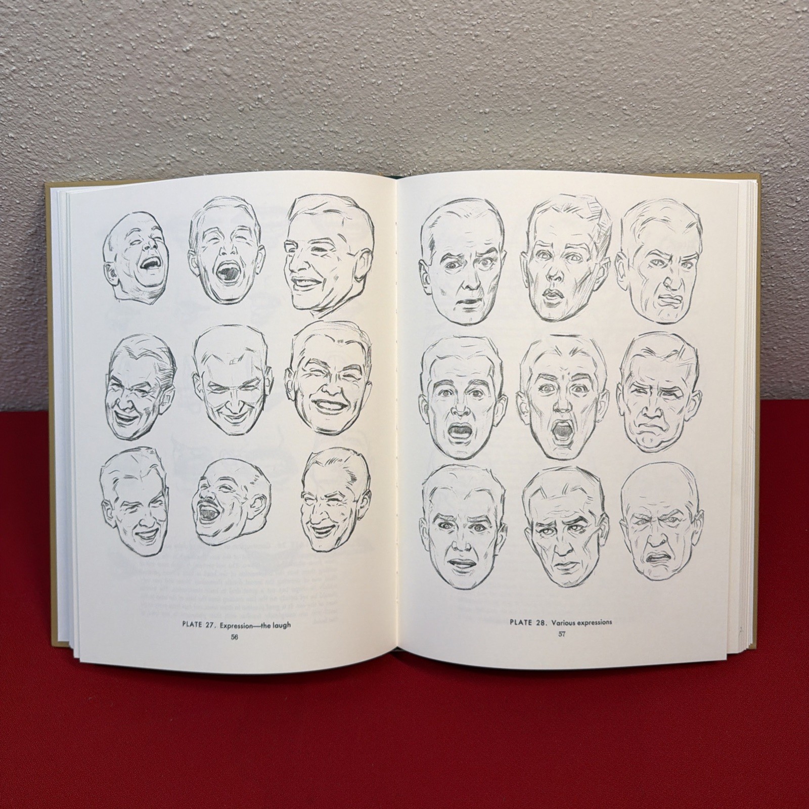 Drawing the Head and Hands by Andrew Loomis