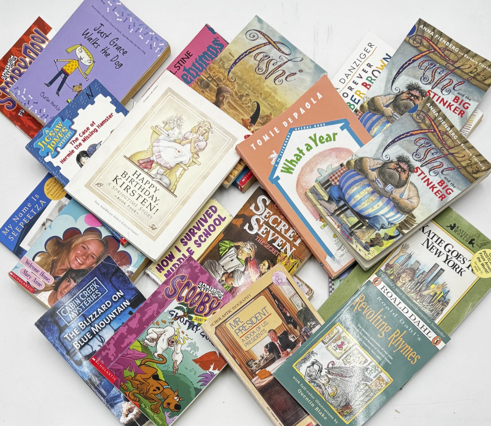 Bulk/Huge Lot of 25 Children’s Kids Chapter Books – Random – Free Shipping!