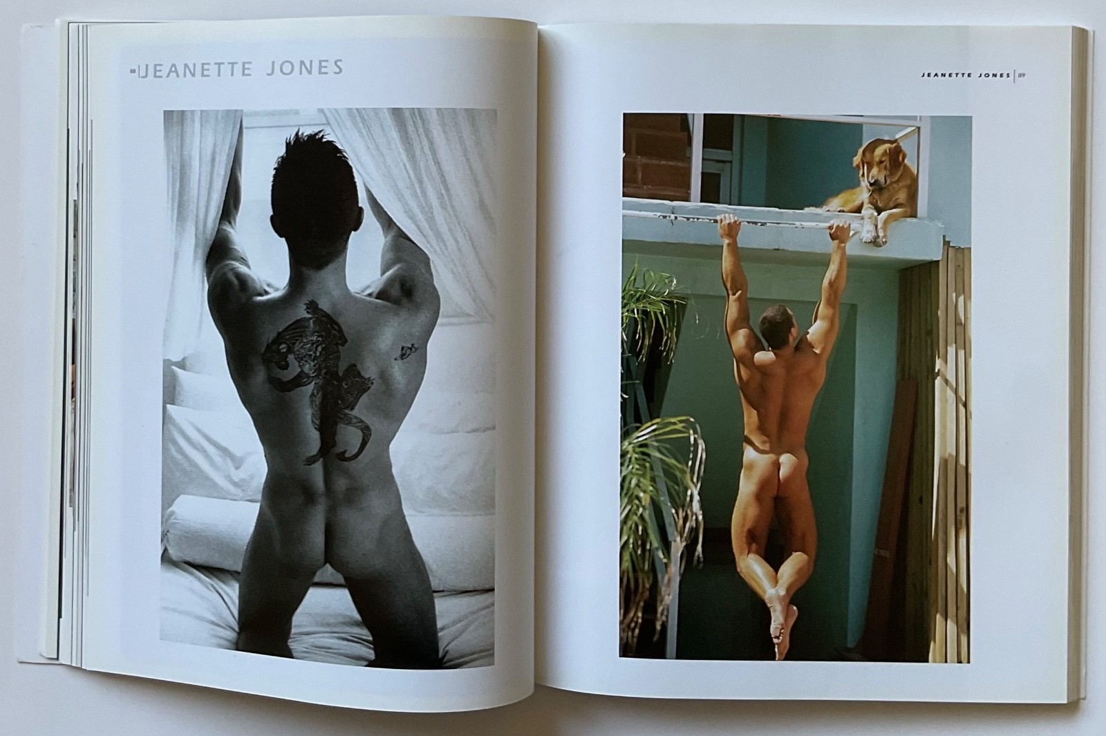 ADONIS Masterpieces of Erotic Male Photography OOP 1999 Book HERB RITTS ++++