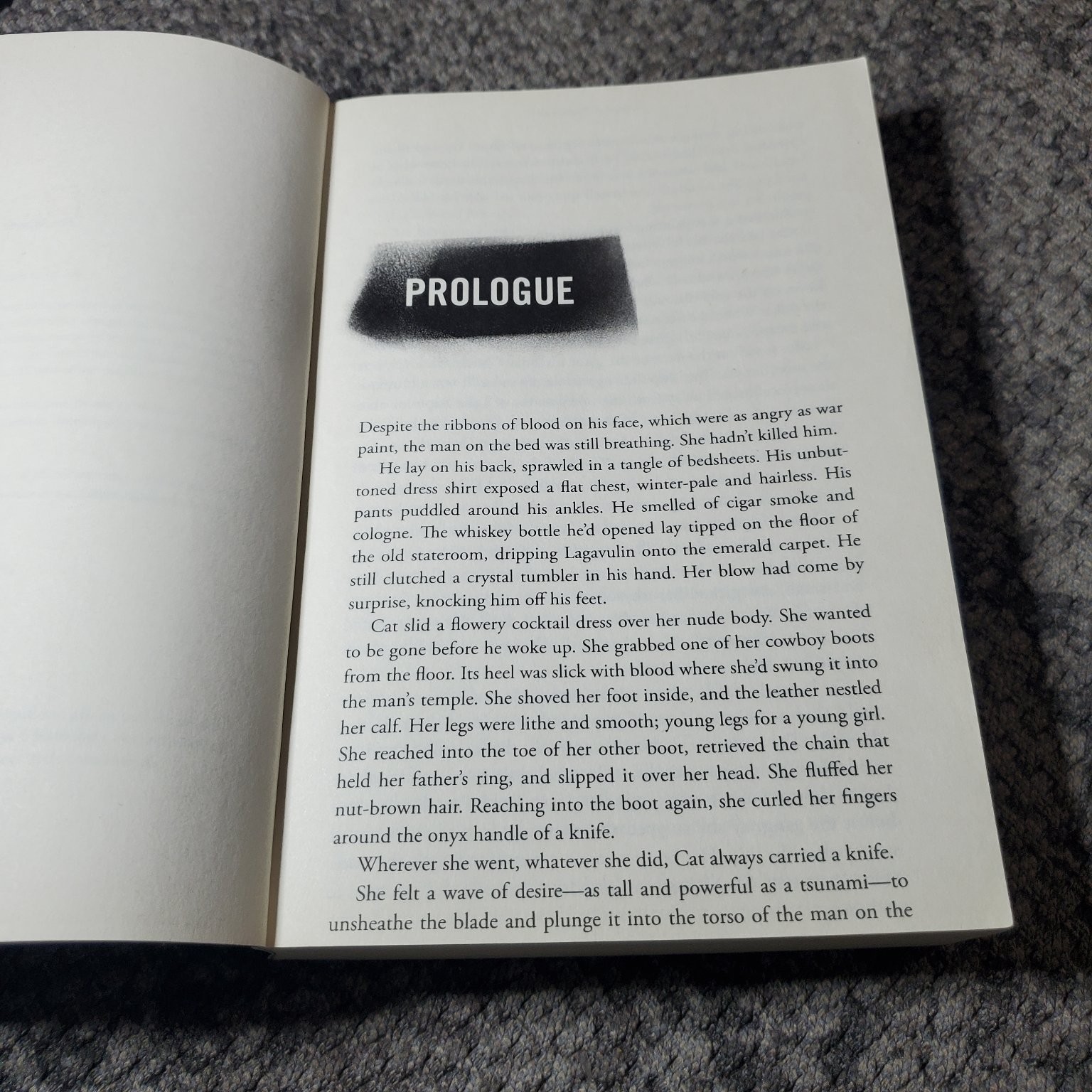 The Cold Nowhere Brian Freeman 2014 Mystery Trade Paperback Book