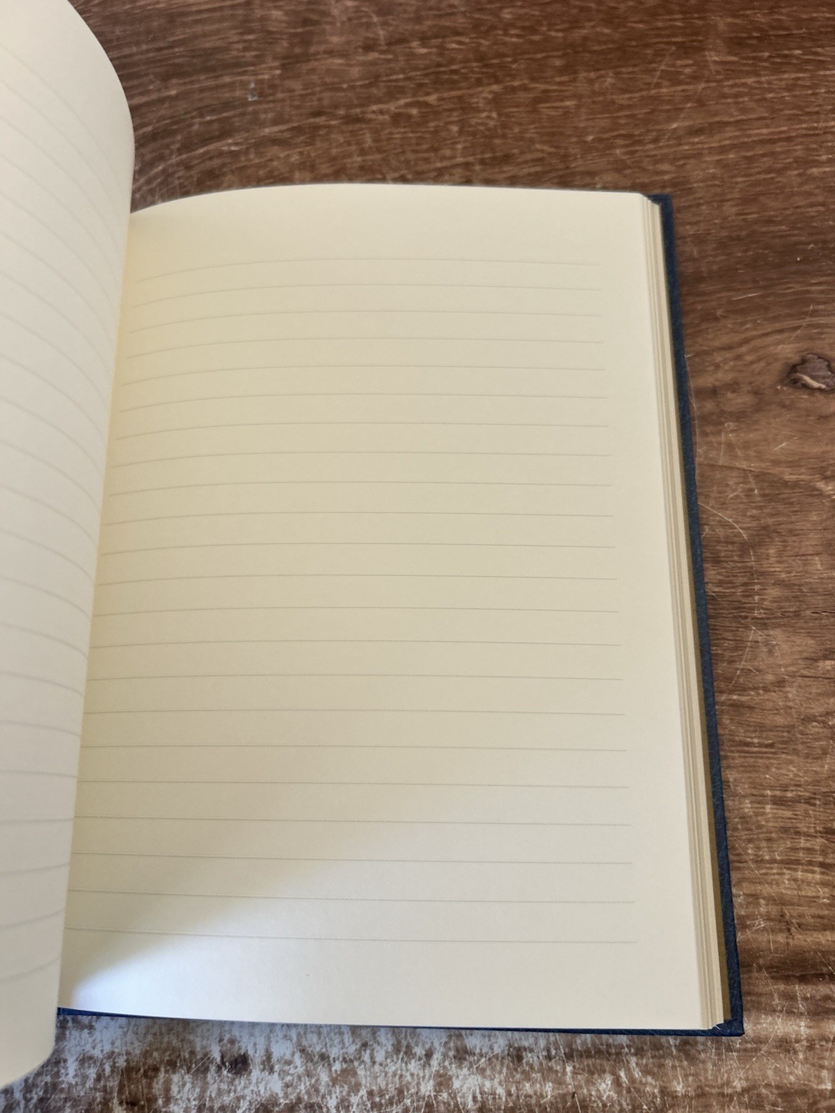 Celestial Large Address Book by Peter Pauper Press (2016, Address Book)