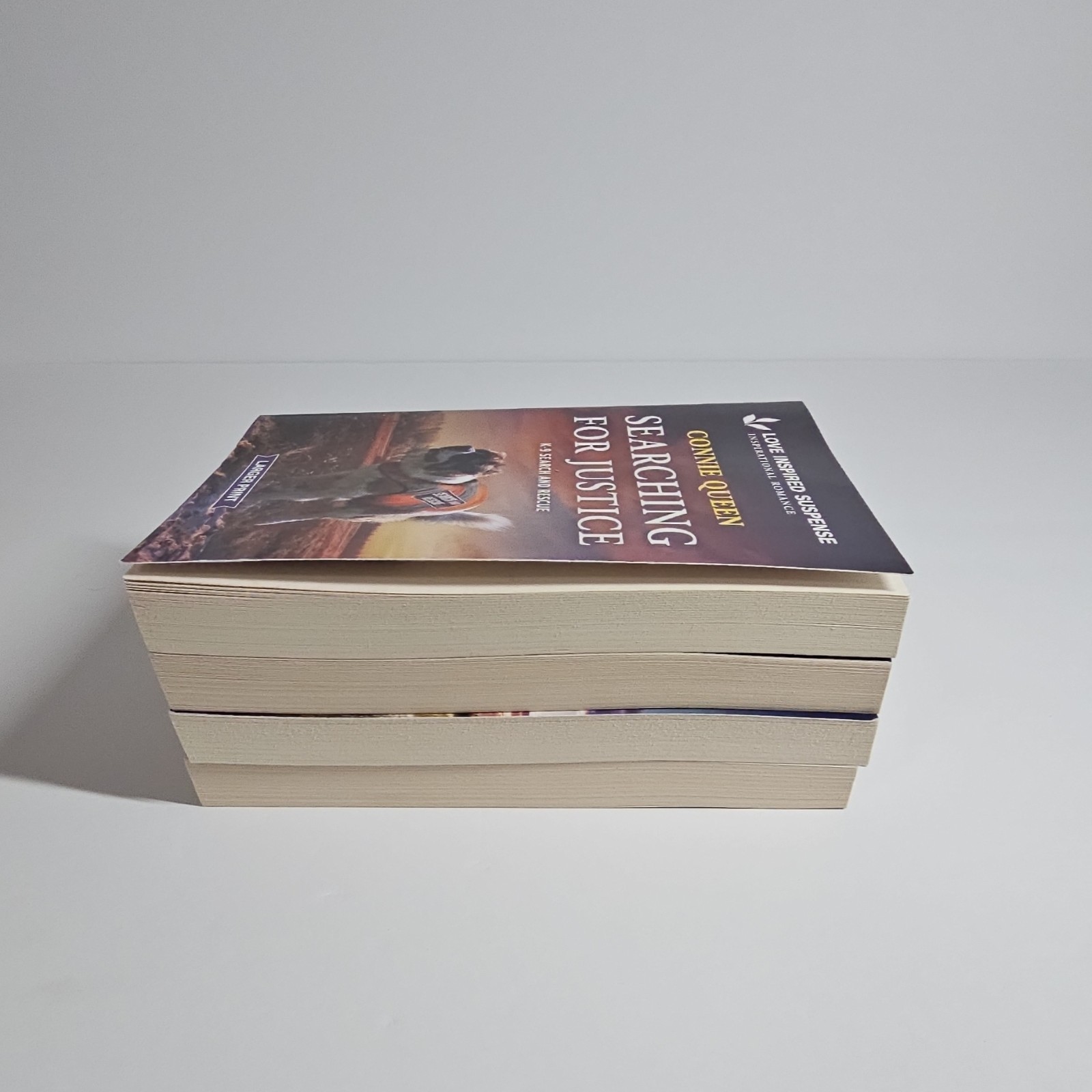 Love Inspired Suspense by Elizabeth Rees, Connie Queen, Terri Reed, 4 book lot