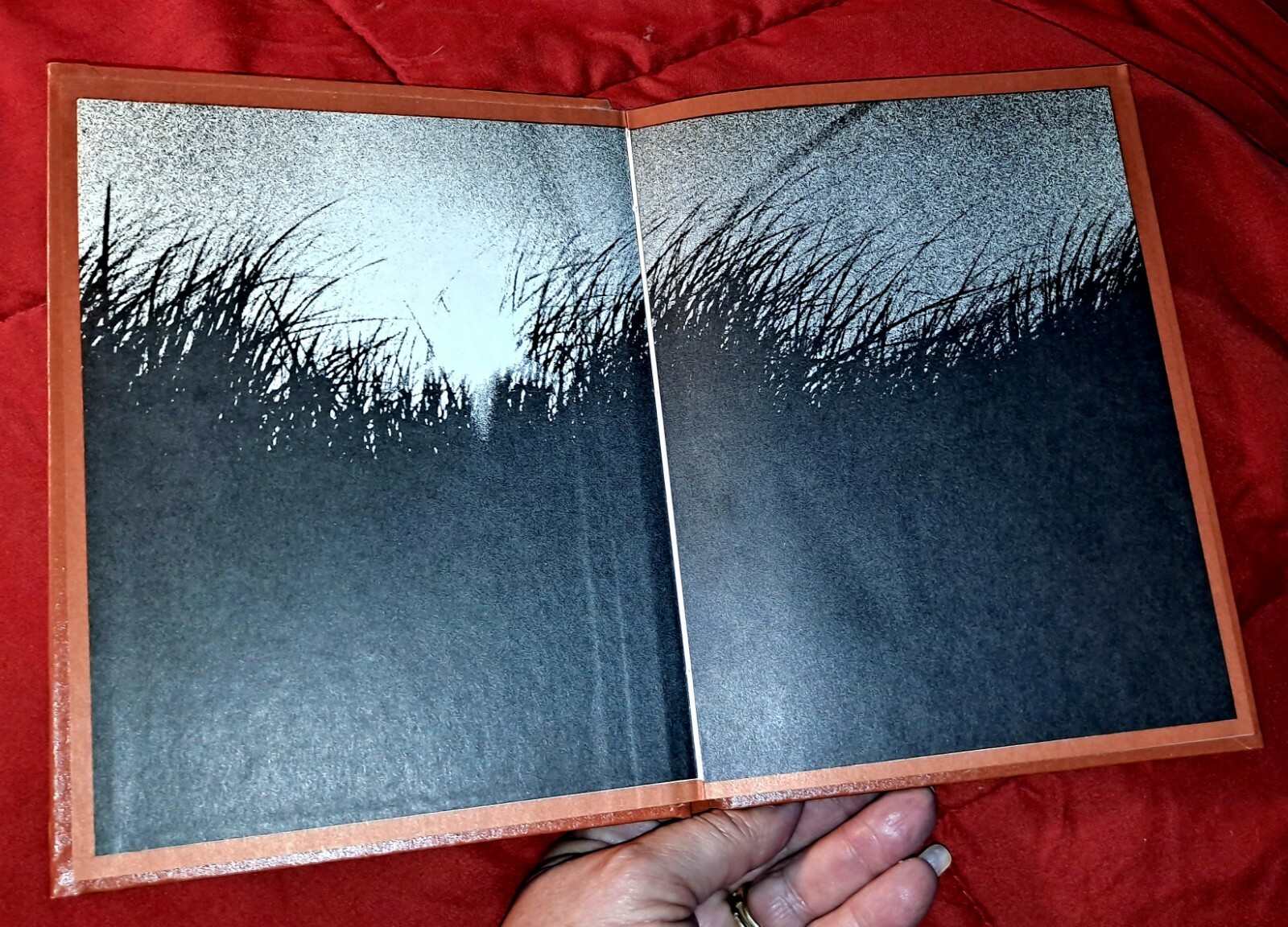 To See a World in a Grain of Sand by Caesar Johnson, 1972, 61 pages, Hardcover