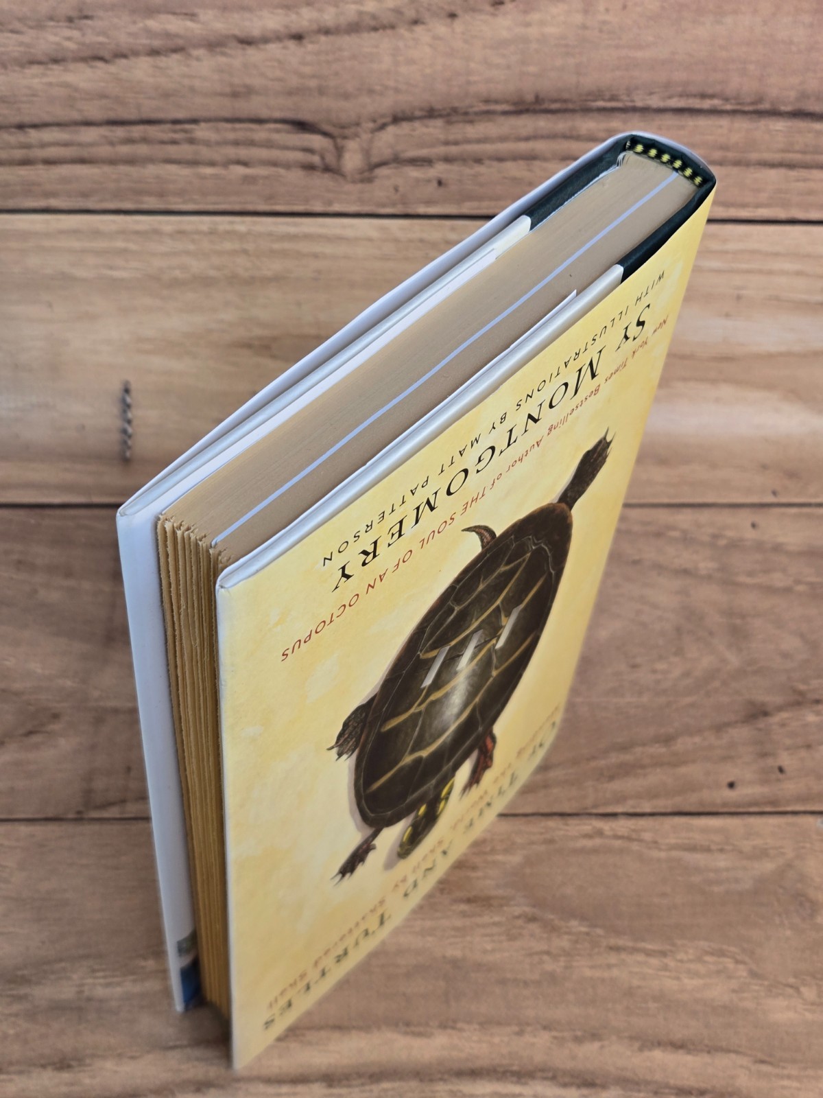 Of Time And Turtles: Mending The World, Shell By Shattered Shell Sy Montgomery
