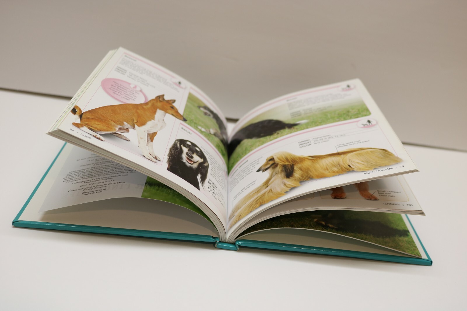 Pocket Genius Ser.: Pocket Genius: Dogs : Facts at Your Fingertips by DK (2016,