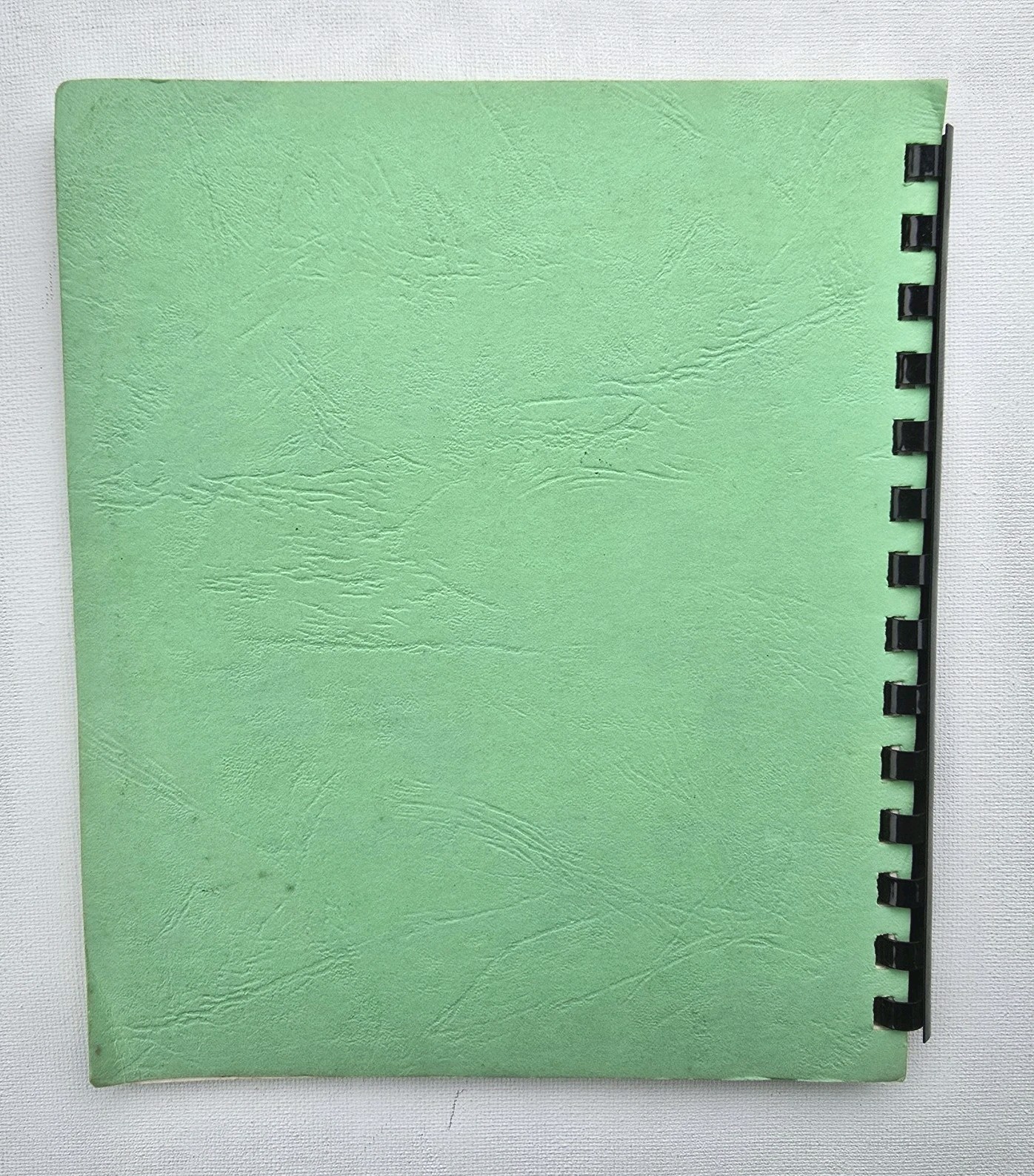 Cookies Vintage Cookbook Iowa Falls Spiral Bound 100 Pages