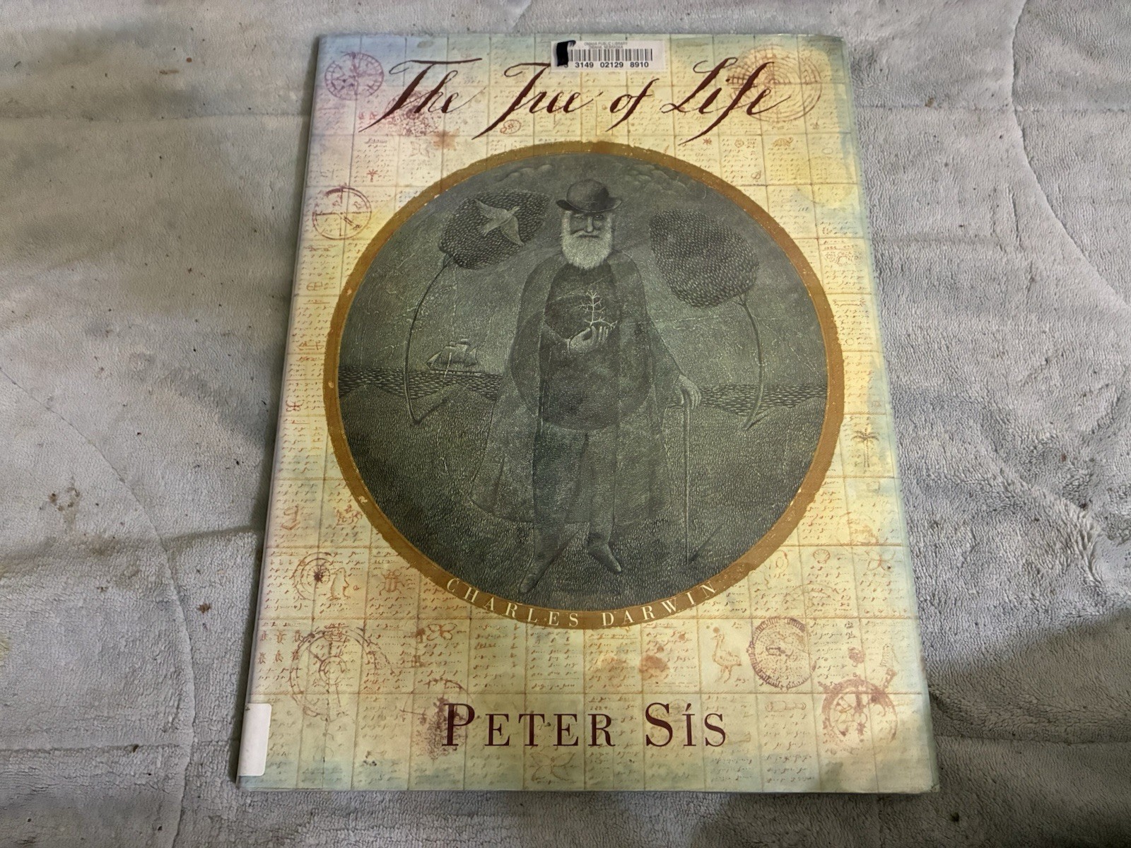The Tree Of Life by Peter Sis 2003 1st Ed.
