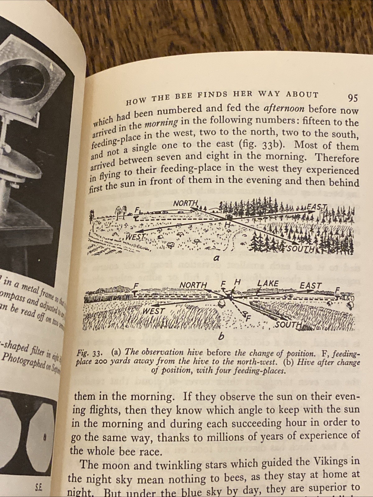 The Dancing Bees 1953 Karl von Frisch 1st Edition PB
