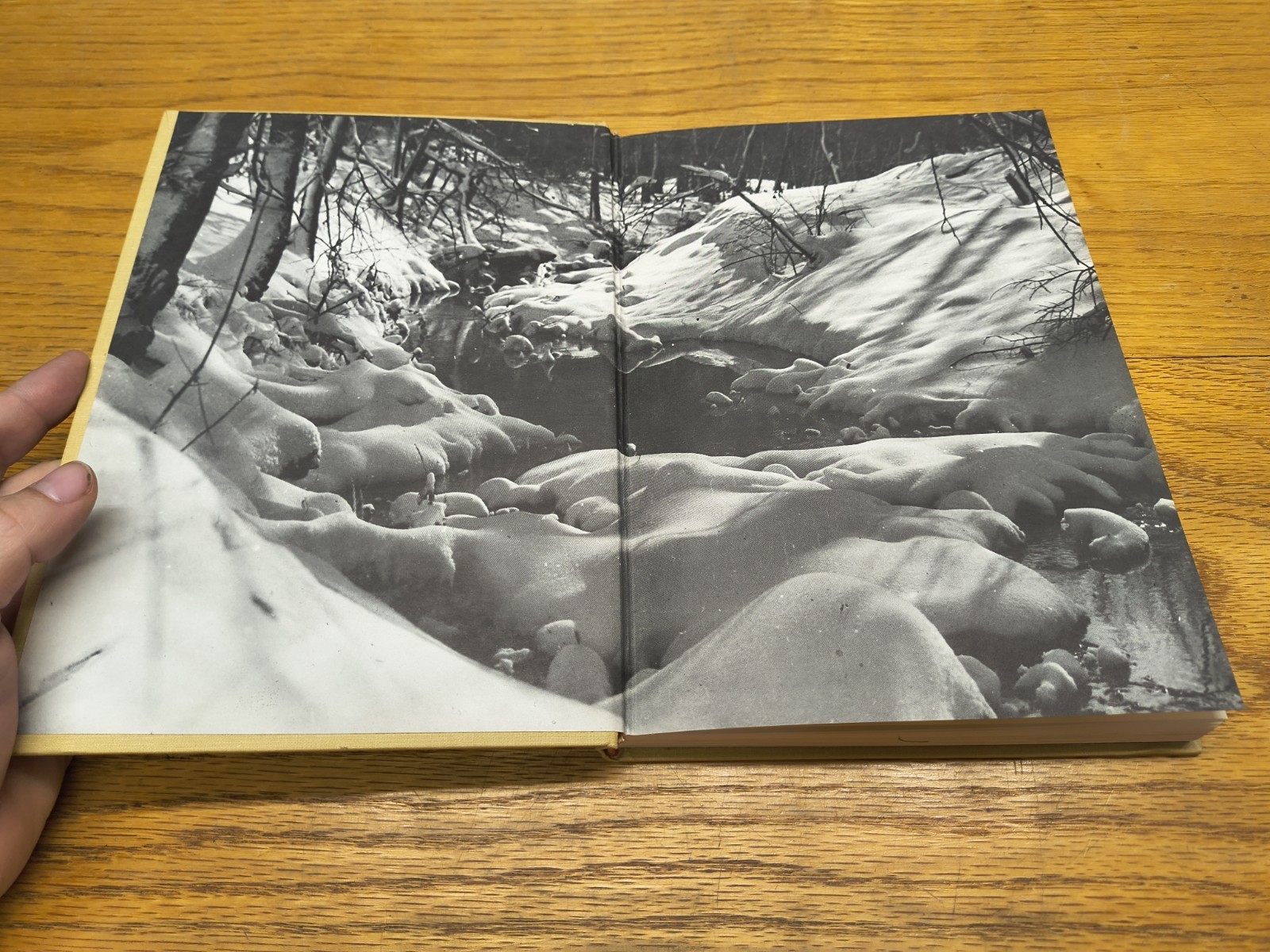 1979 STILLWATER Where Oklahoma Began Robert E CUNNINGHAM photos history book