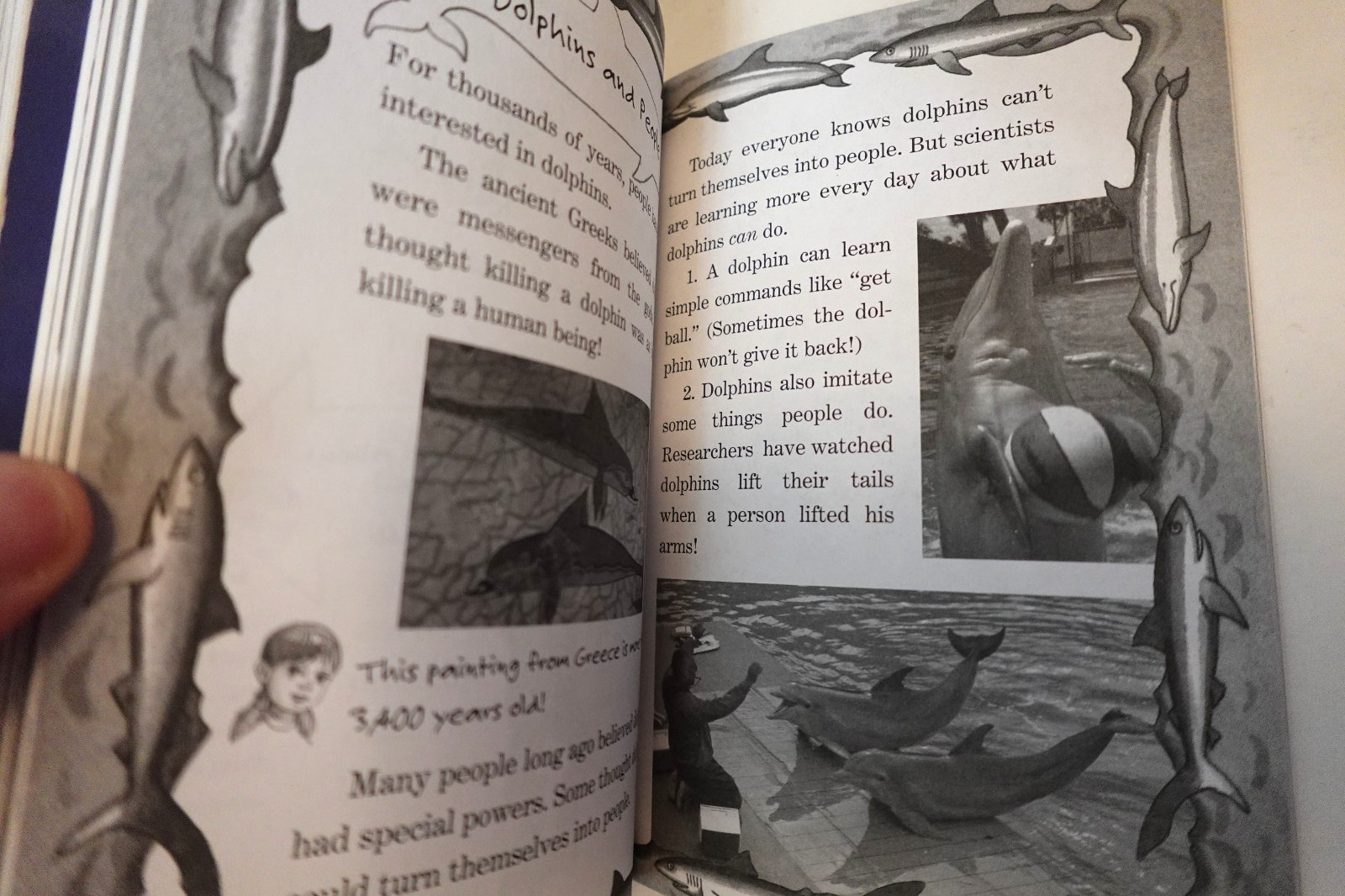 Magic Tree House book collection (kid’s paperback book series)