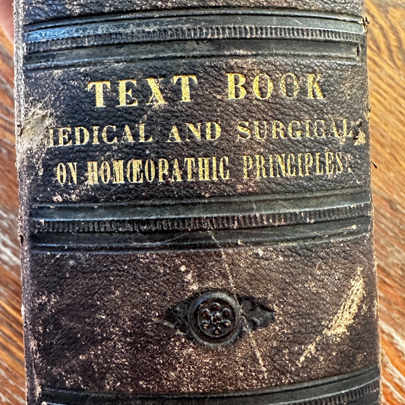 Text Book of Modern Medicine and Surgery On Homeopathic Principles HC 1876