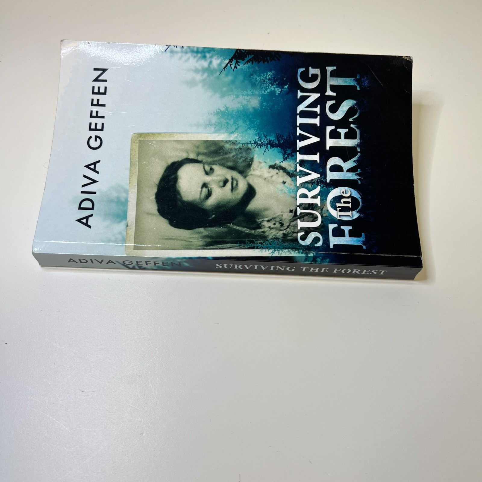 Surviving The Forest (A WW2 Historical Novel) by Adiva Geffen