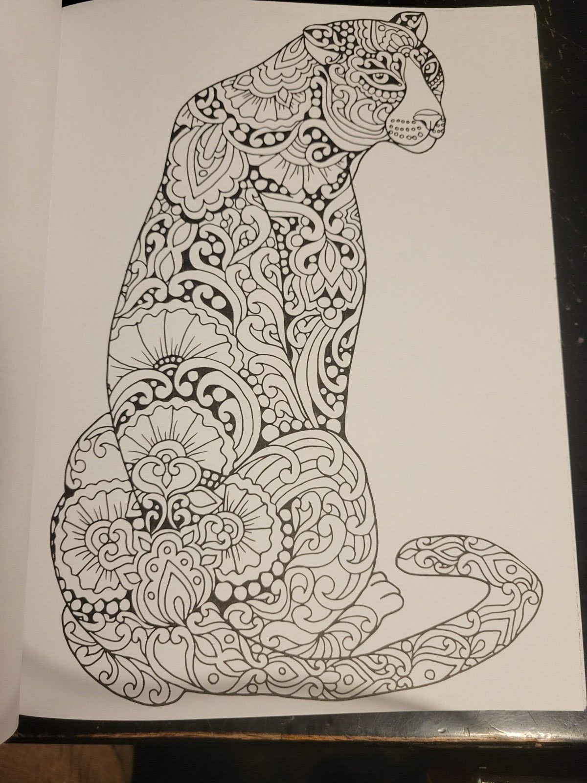 MAJESTIC CREATURES Vol 13 Adult Coloring Book With 47 Prints Ready To Frame
