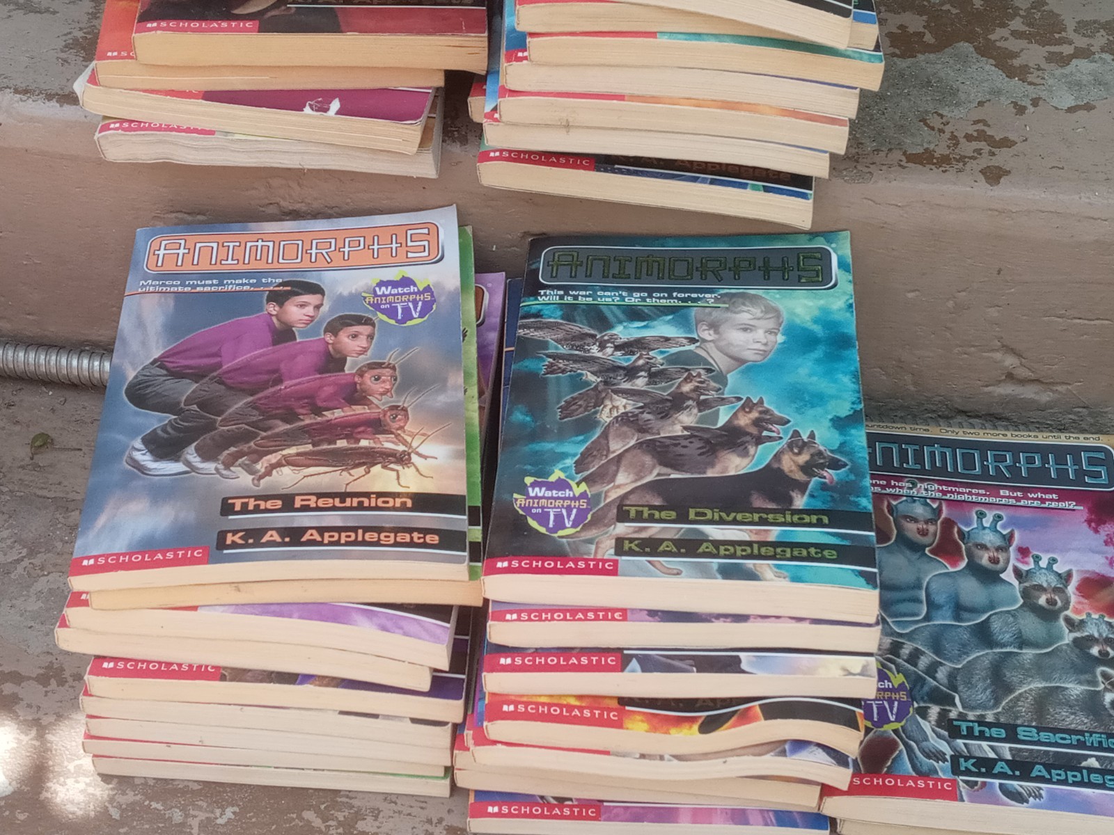 LOT of 40 ANIMORPHS K.A. Applegate Vintage Scholastic Books