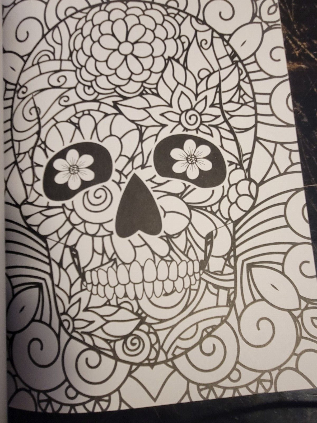 DAY OF THE DEAD Vol 5 Adult Coloring Book With 47 Prints Ready To Frame