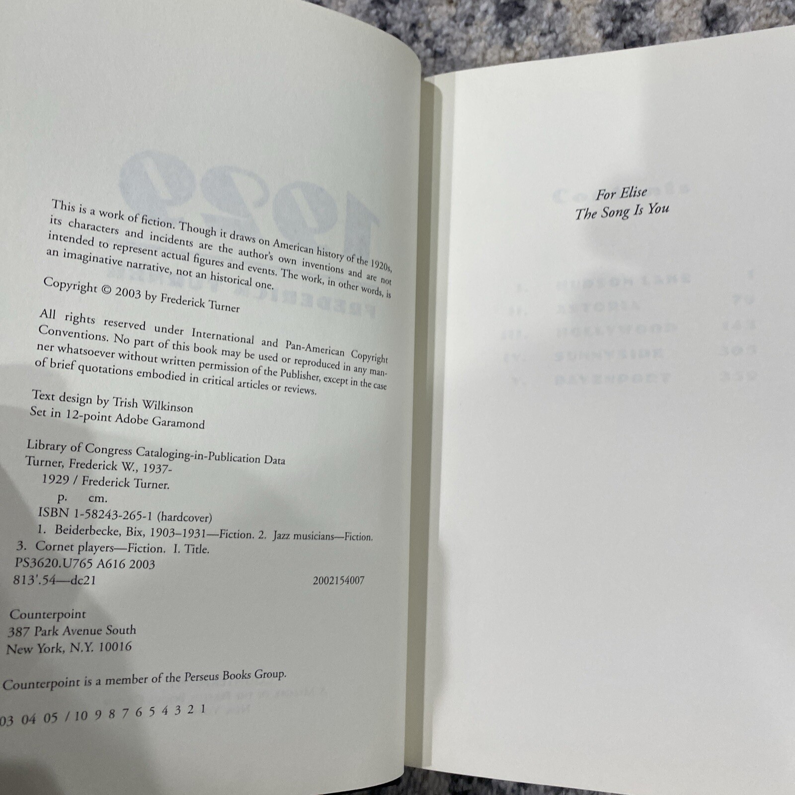 1929: A NOVEL OF THE JAZZ AGE By Frederick Turner, VGC+, 1st, 2003