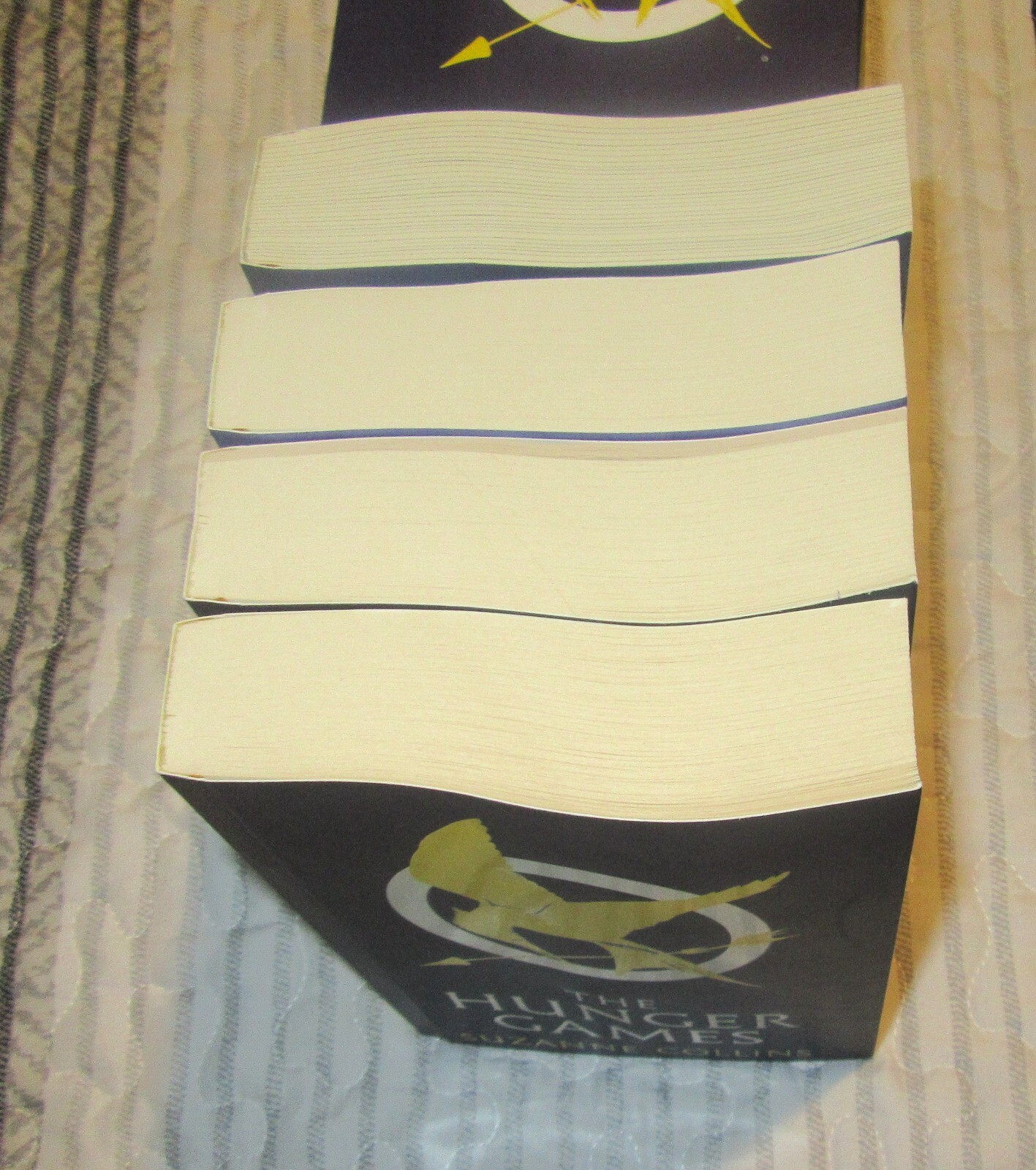 Hunger Games Boxed Set 4 Paperbacks