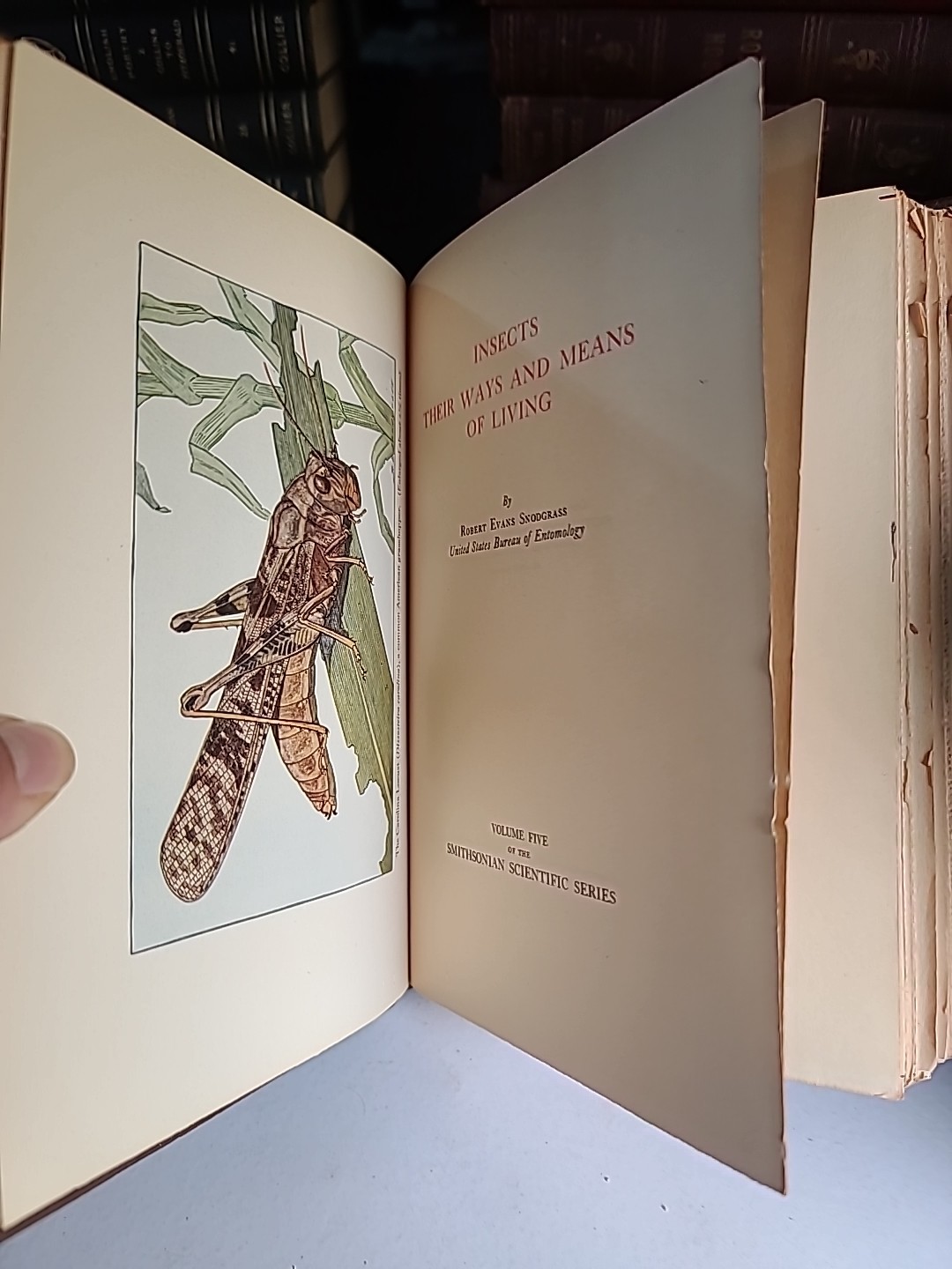 Smithsonian Scientific Series Set of 10 Hardcover Illustrated Volumes – Ornate B
