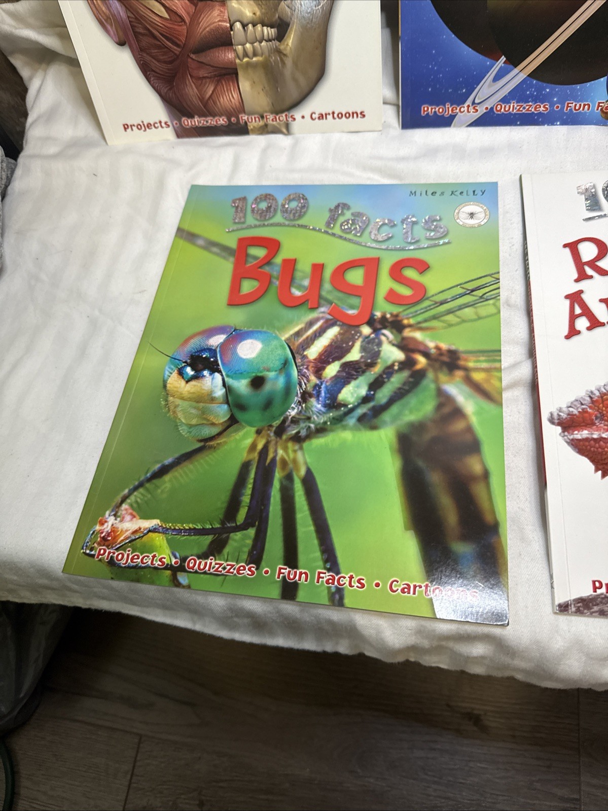 LOT OF 5 100 Facts Large Picture Book Miles Kelly Ages 7-11 Grade 1-5 Homeschool