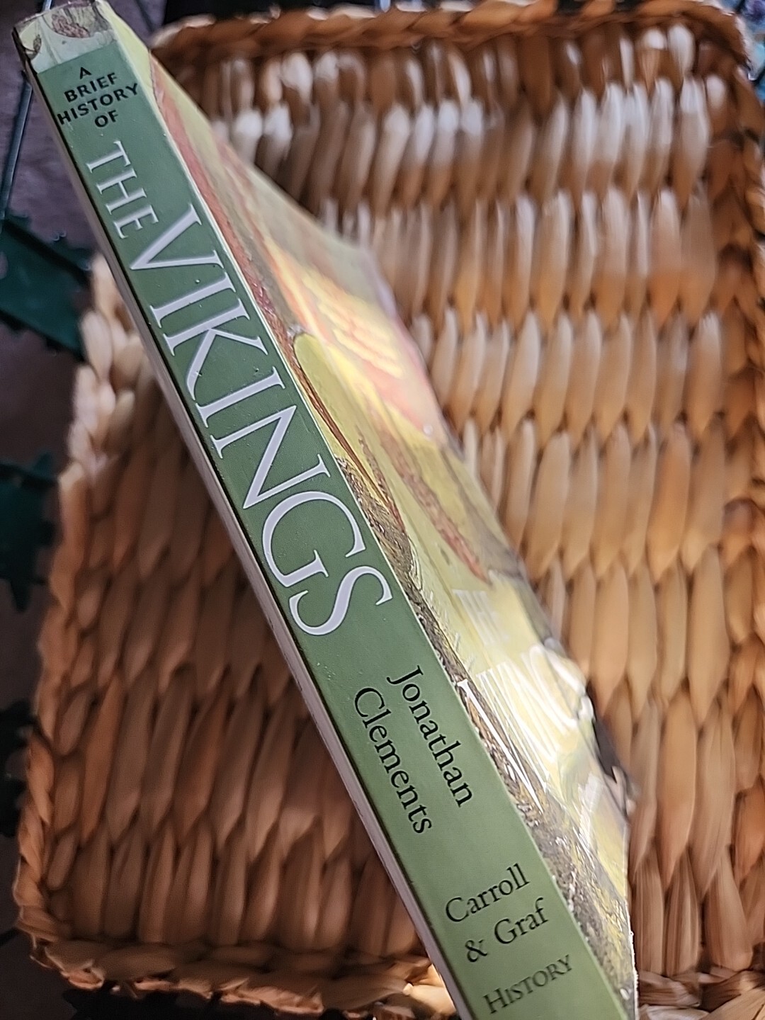 A Brief History Of The Vikings Jonathan Clements Paperback Excellent Condition