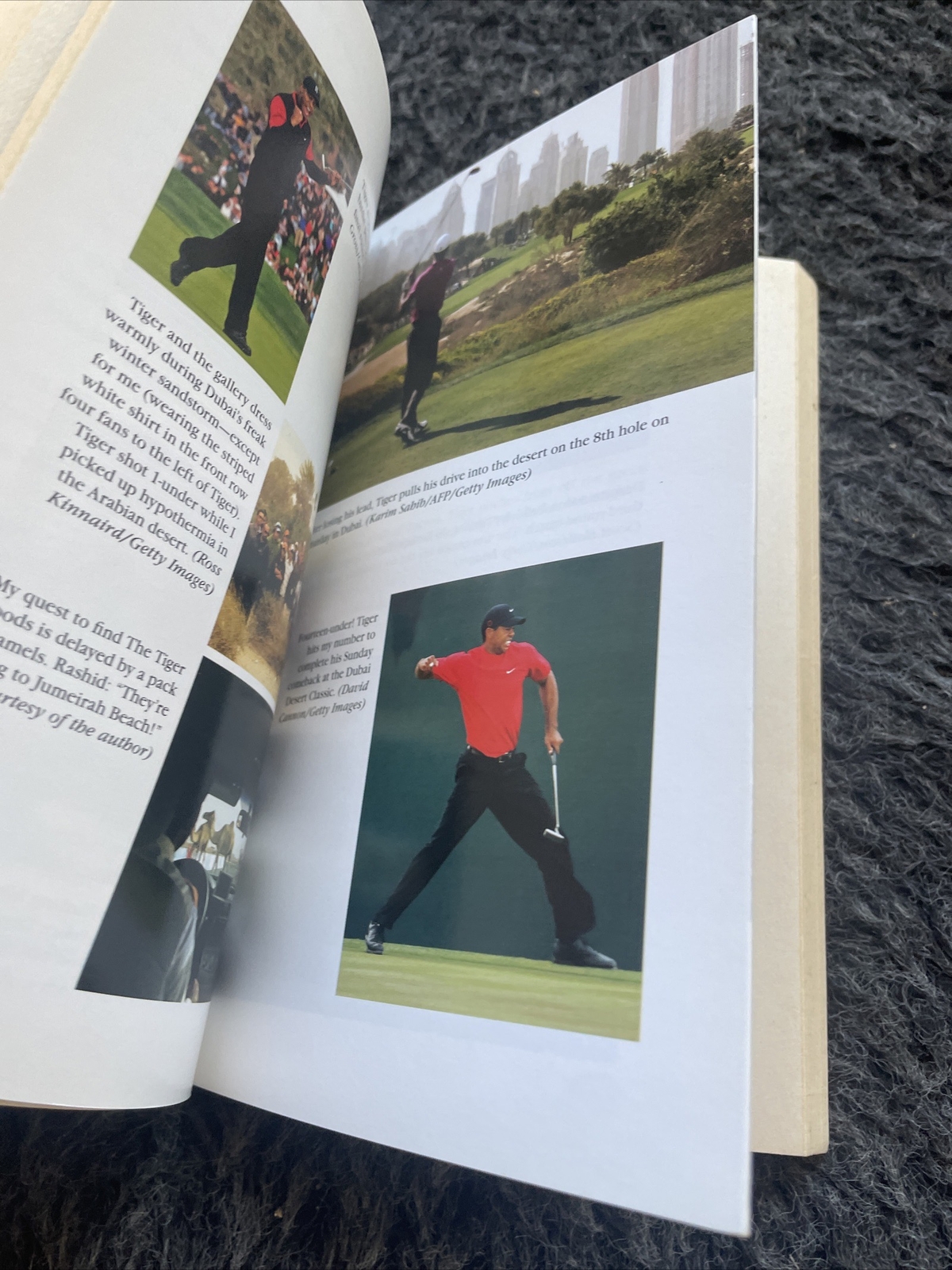 BOB SMILEY, FOLLOW THE ROAR. TIGER WOODS