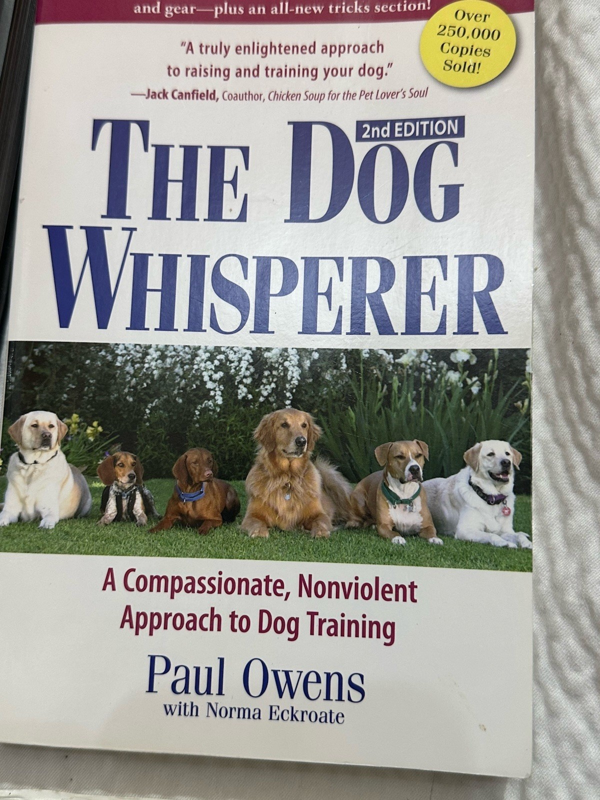 4 Dog Books