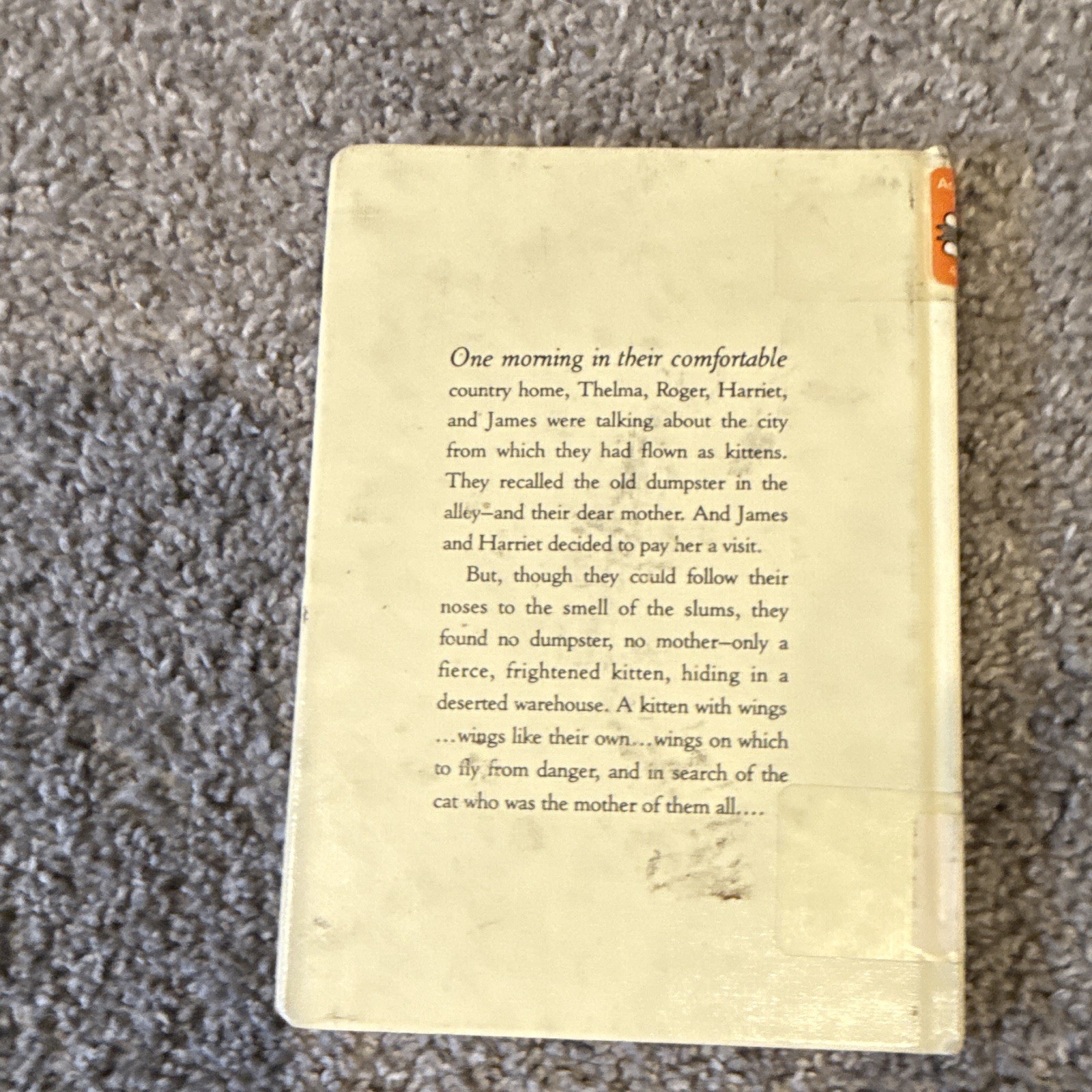 Ursula K. Le Guin Catwings Return (Catwings Ser.) Hardcover Illus Schindler