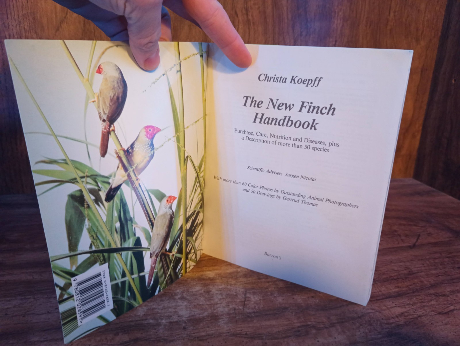 The New Finch Handbook PB 1984 Christa Koepff BES Publishing Birds Care Behavior