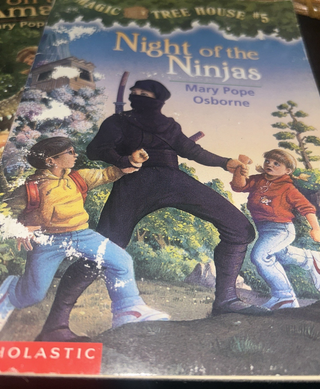 Magic Tree House Books 5-8 Boxed Set : Night of the Ninjas; Afternoon on the…