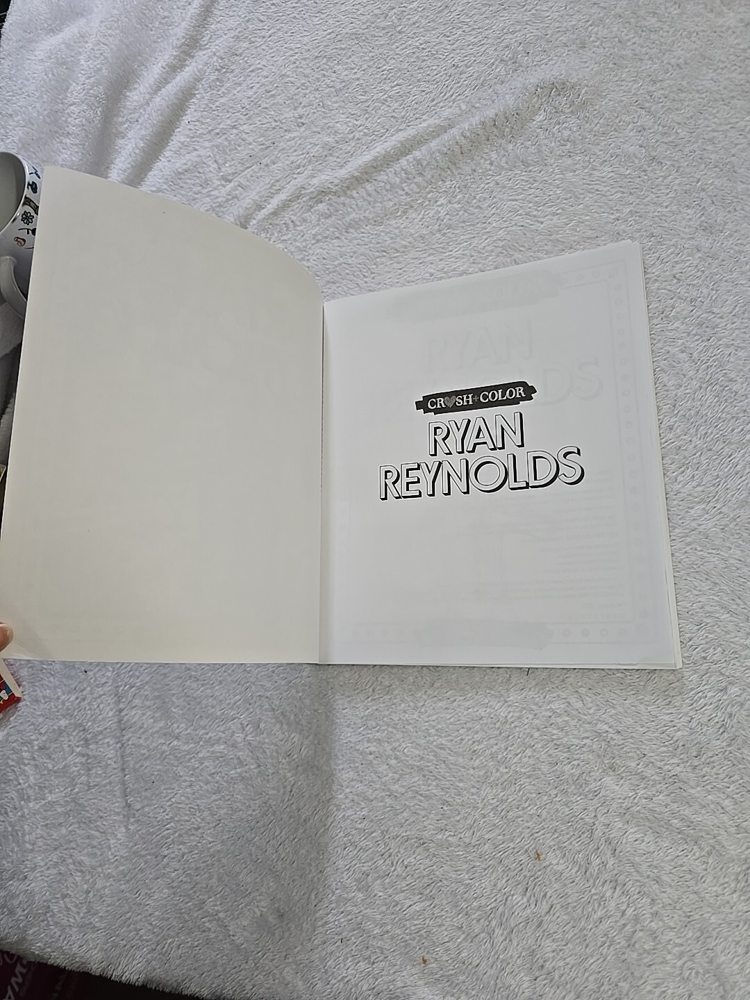 Crush and Color Ryan Reynolds Coloring Book Maurizio Campidelli Unused 35+ Pages