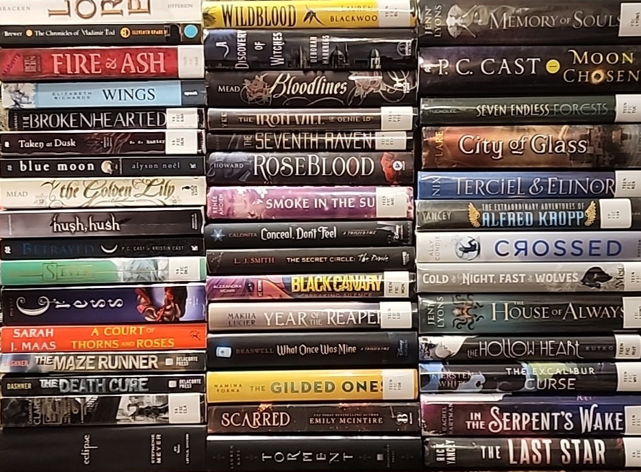 RANDOM MIX Lot of 25 Young Adults YA Teen ROMANTASY SCI-FI DYSTOPIAN PARANORMAL