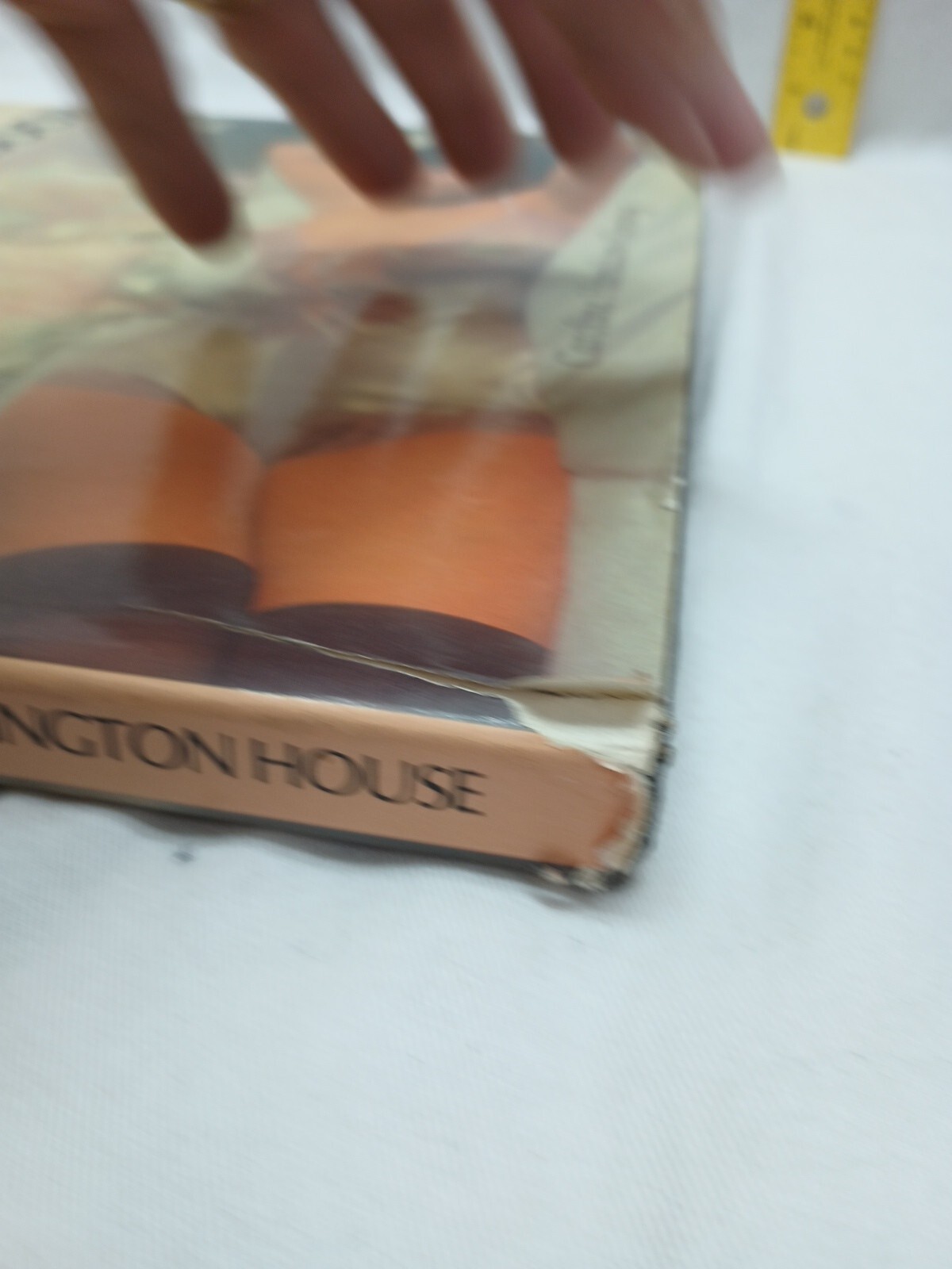 The Lingerie Book by Caroline Hamilton-Fleming Arlington House 1985
