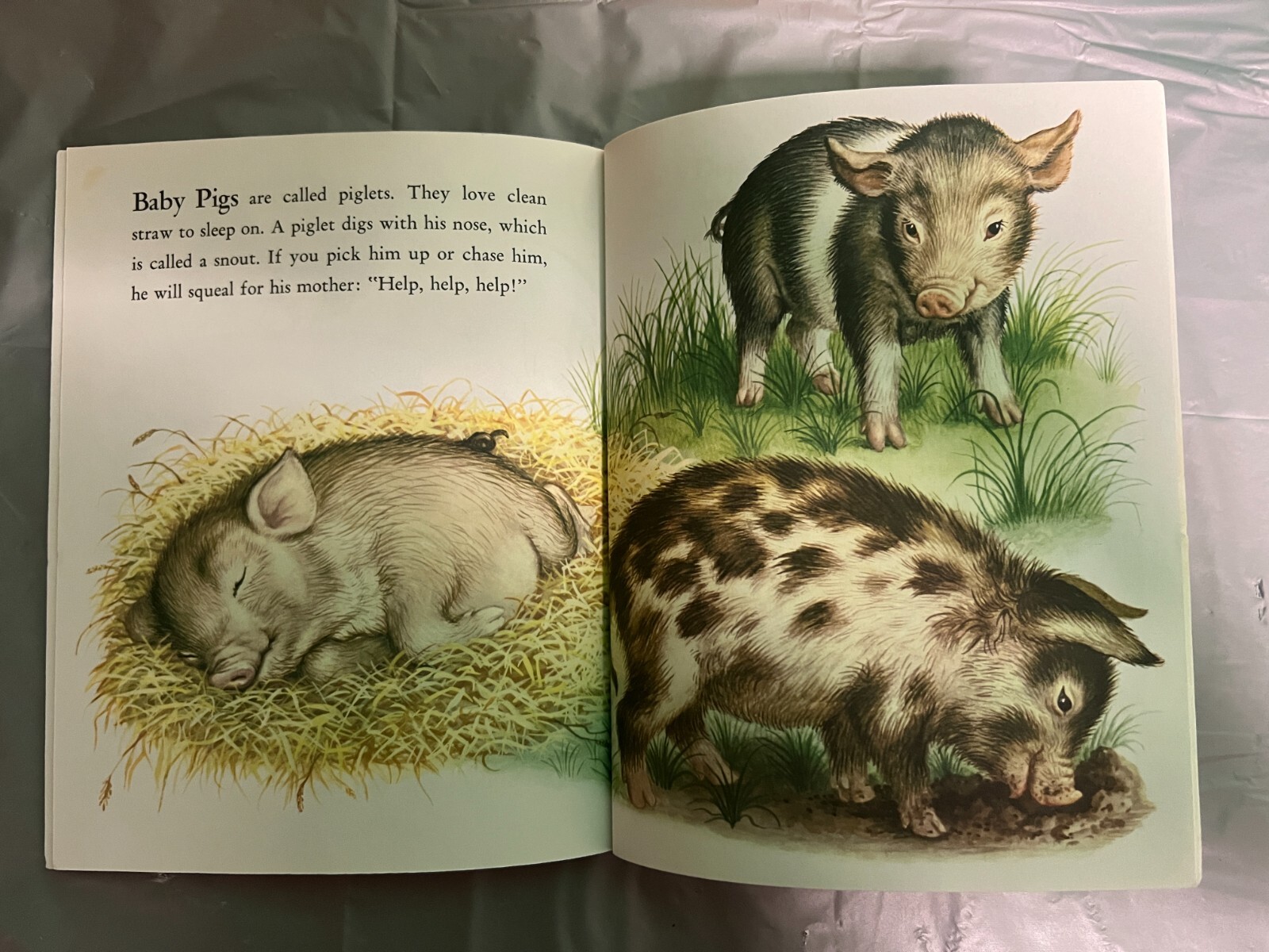 Vintage Children’ Animal books – Barn Panorama/Old MacDonald/Farmer Jones+1