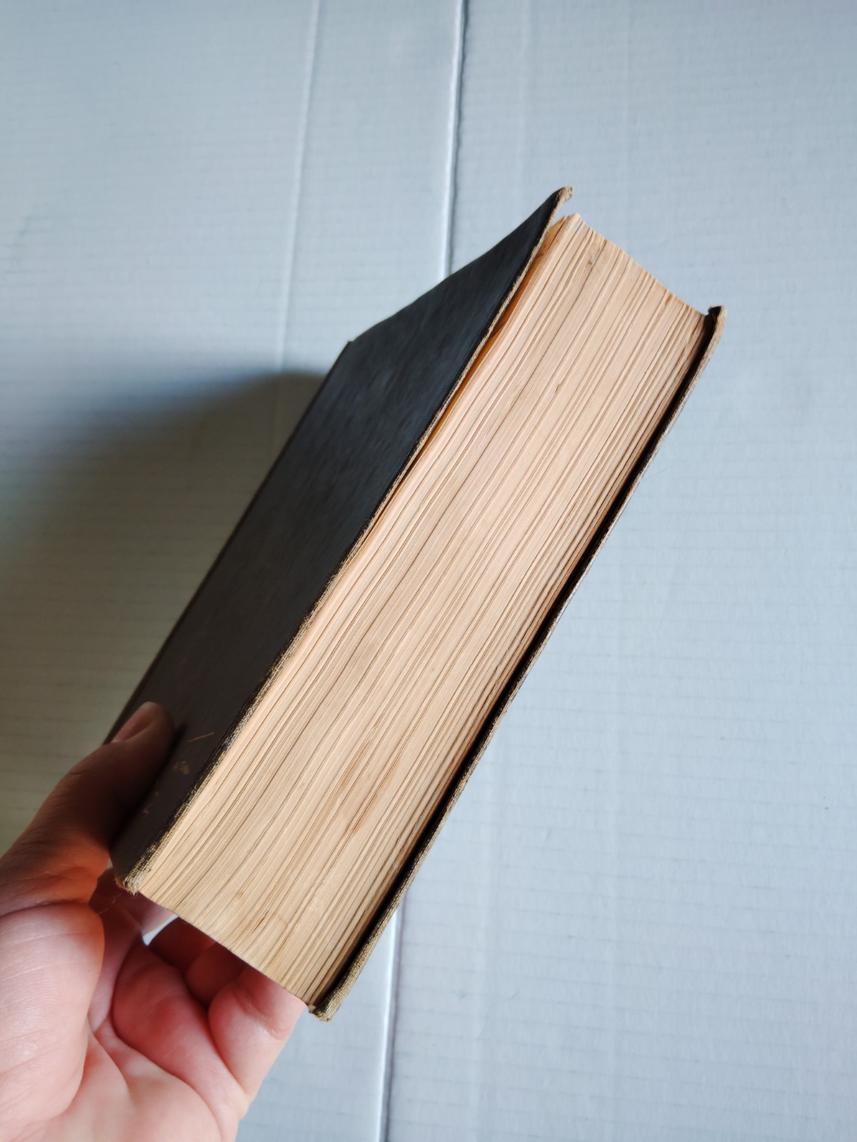 Complete Short Stories & Famous Essays Of Mark Twain Decorative Antique Book