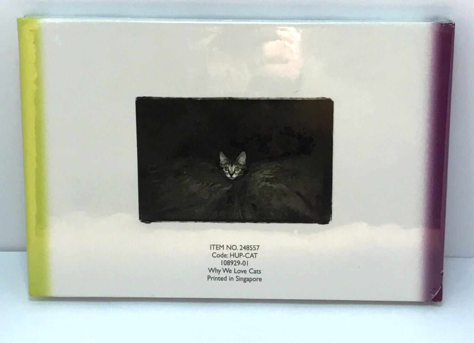 Why We Love Cats by Kim Levin. Kitty, Pets at Play, Best Friend Furry and Fluffy